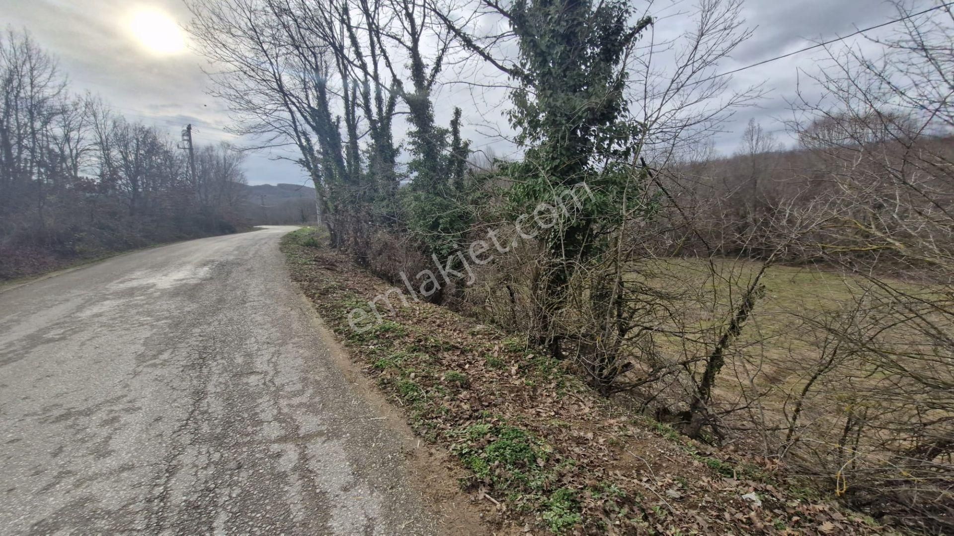 Yalova Altınova Örencik Köyü Satılık Tarla 3363 M2 - Görsel 10