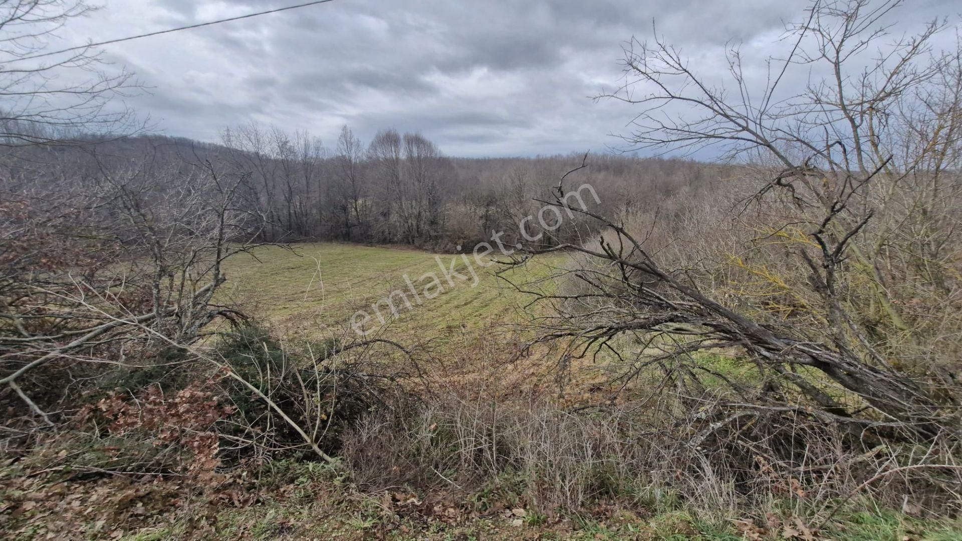 Yalova Altınova Örencik Köyü Satılık Tarla 3363 M2 - Görsel 7