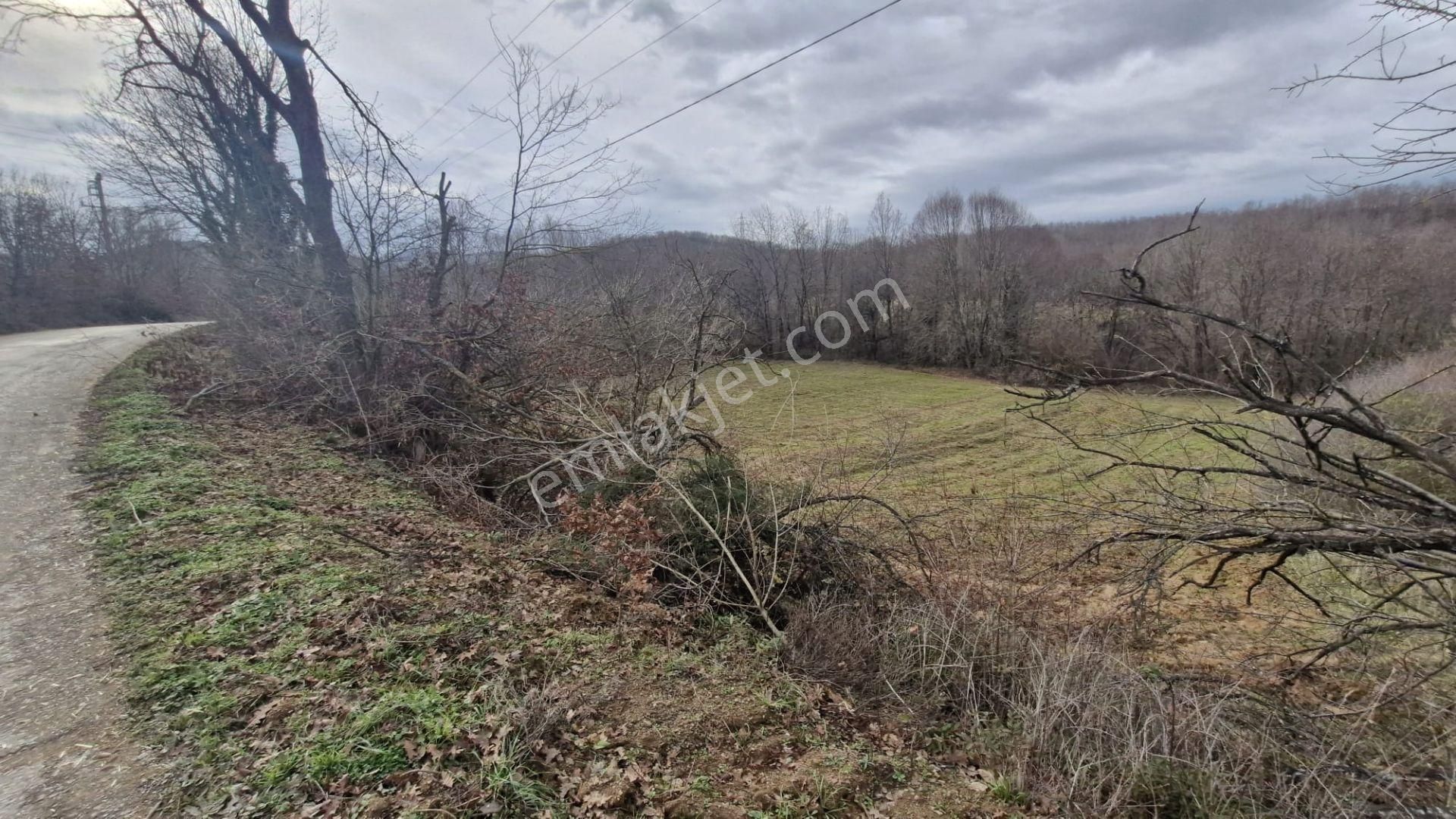 Yalova Altınova Örencik Köyü Satılık Tarla 3363 M2 - Görsel 3