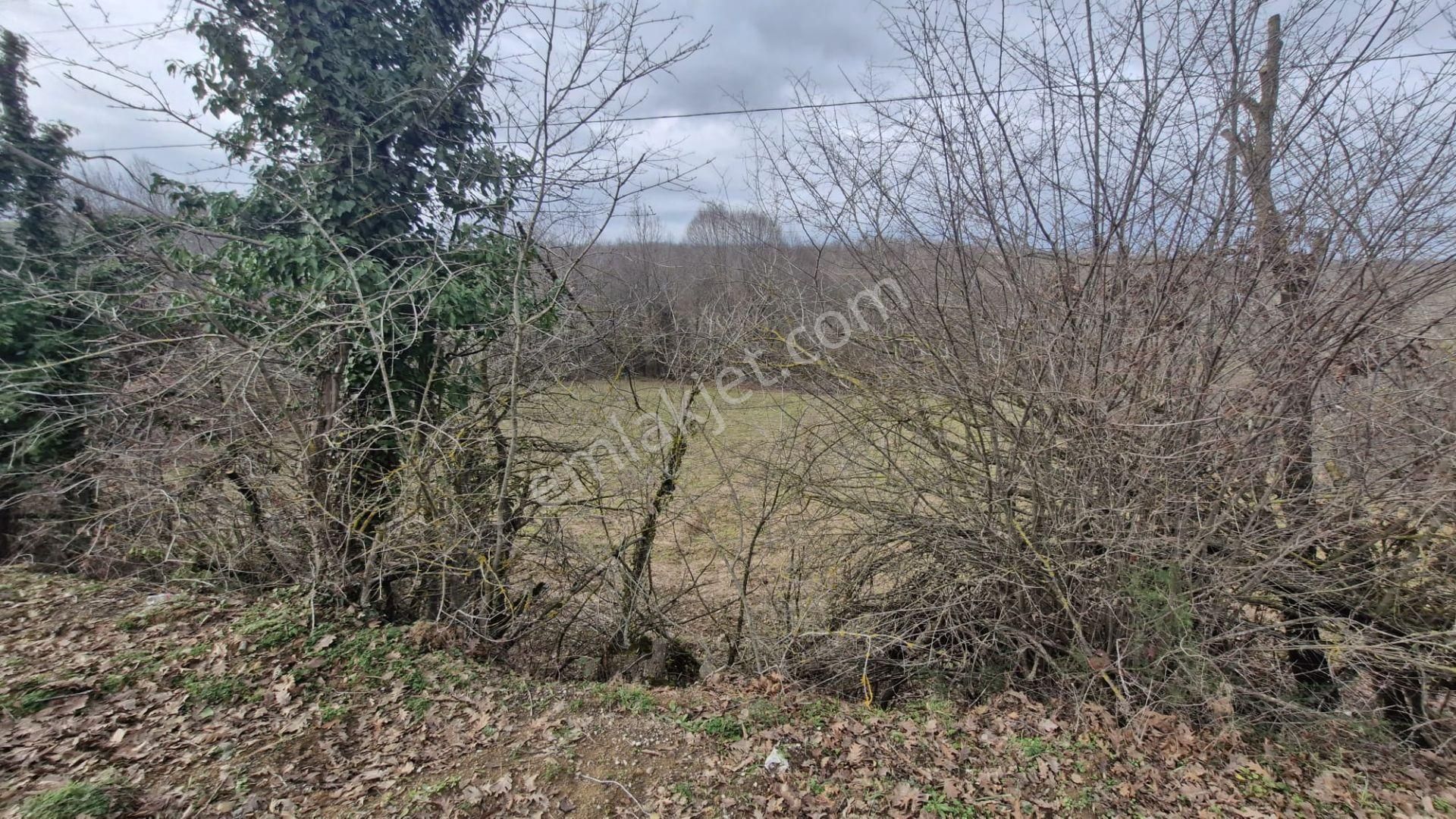 Yalova Altınova Örencik Köyü Satılık Tarla 3363 M2 - Görsel 9