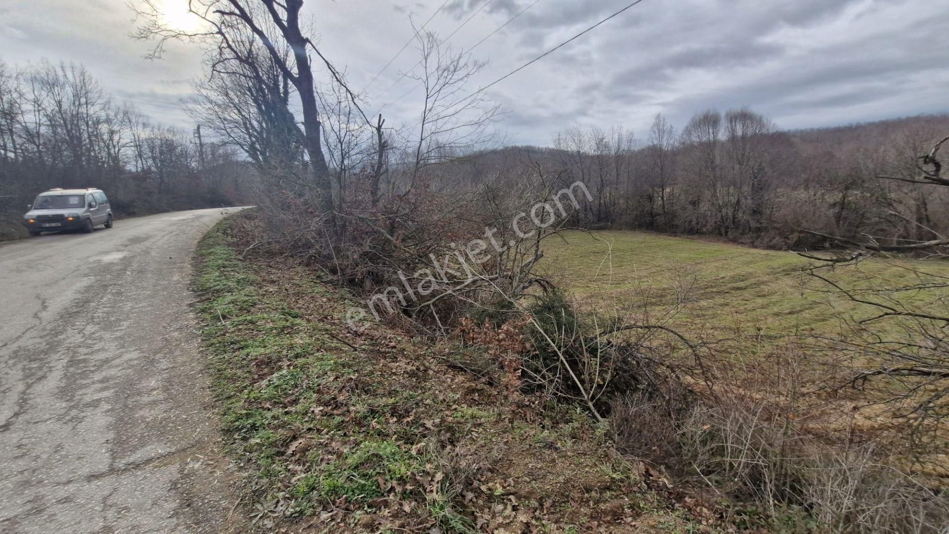 Yalova Altınova Örencik Köyü Satılık Tarla 3363 M2 - Görsel 14