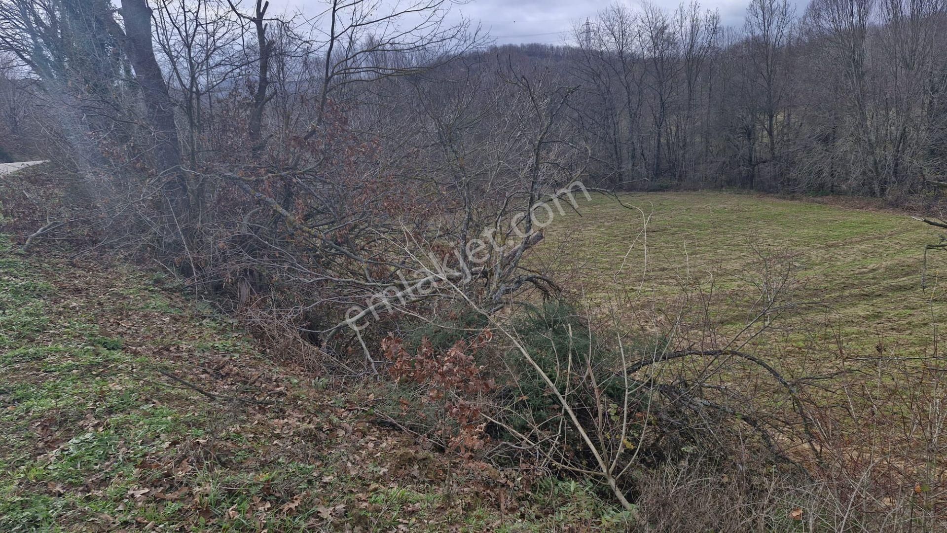 Yalova Altınova Örencik Köyü Satılık Tarla 3363 M2 - Görsel 8