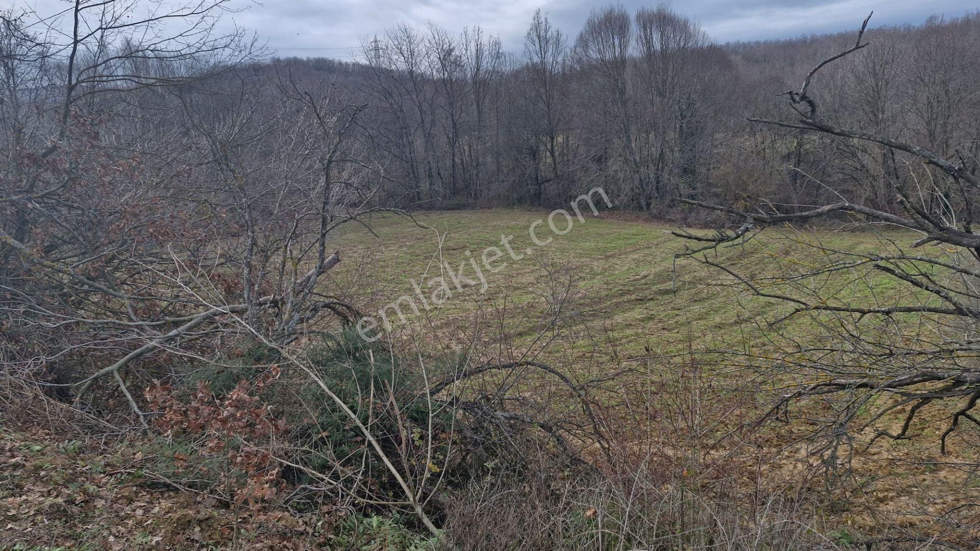 Yalova Altınova Örencik Köyü Satılık Tarla 3363 M2 - Görsel 11