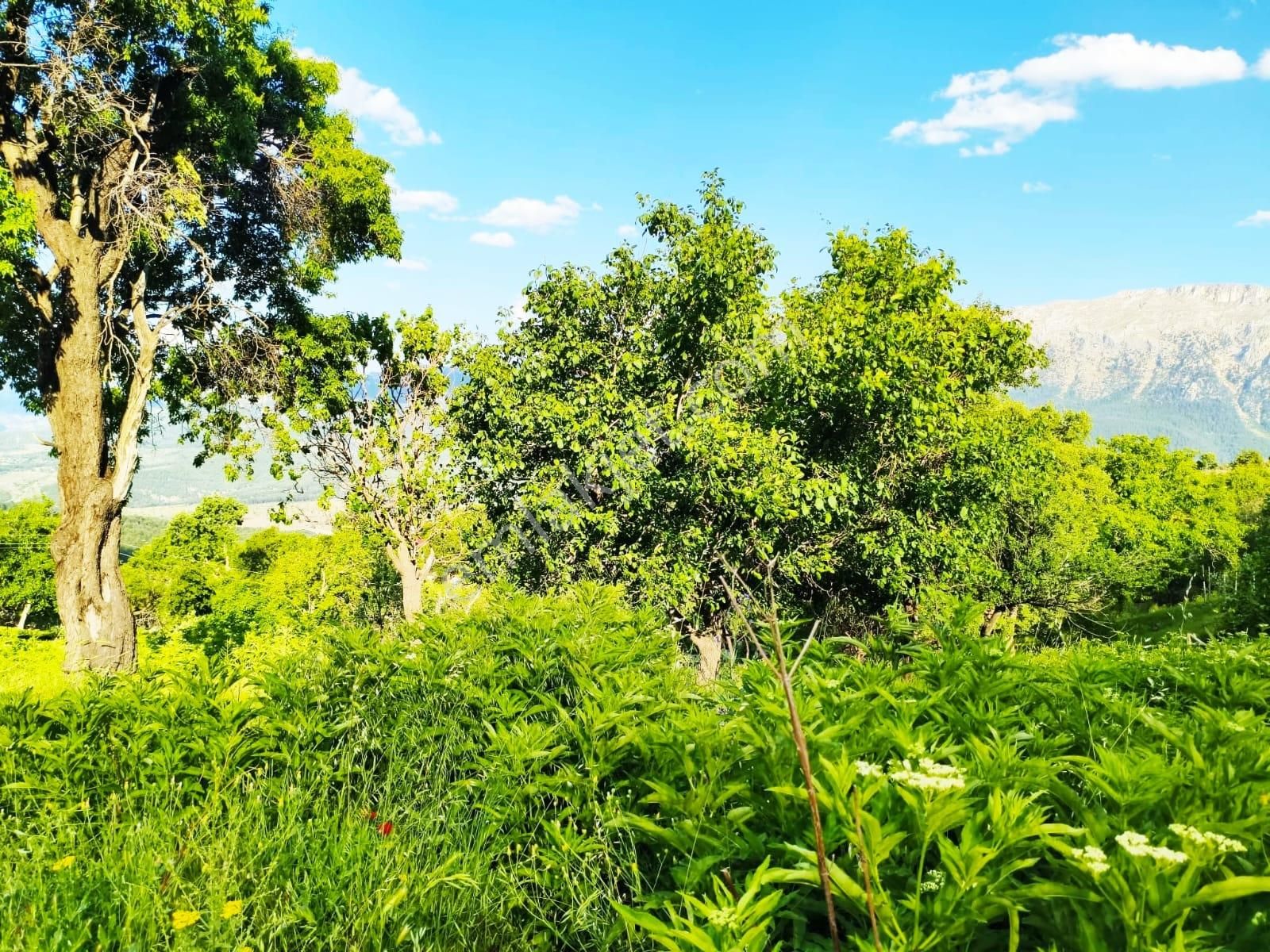 Kar Emlaktan Akçatekir Eskiköyde 235 M2 Satılık Arsa - Görsel 4