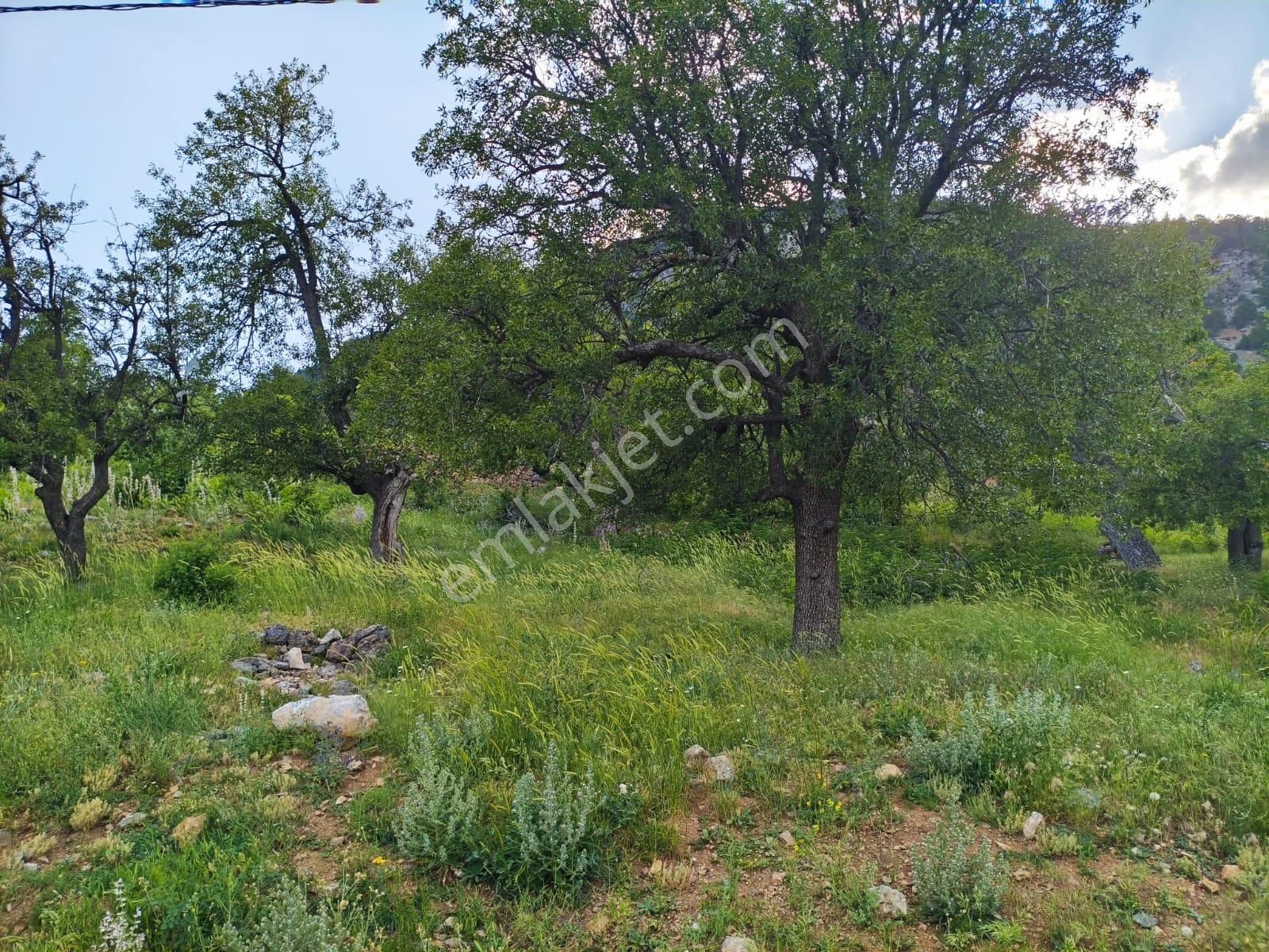 Kar Emlaktan Akçatekir Eskiköyde 235 M2 Satılık Arsa - Görsel 12