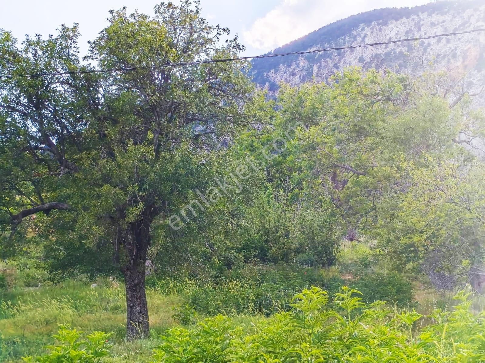 Kar Emlaktan Akçatekir Eskiköyde 235 M2 Satılık Arsa - Görsel 24