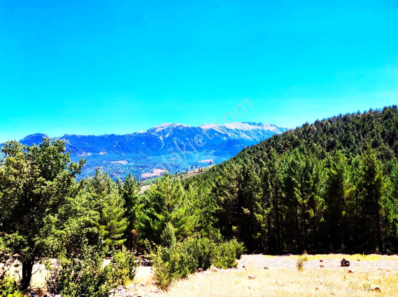 Kar Emlaktan Yenikonacık Körmenlik Mevkiinde 500 M2 Satılık Arsa - Görsel 10