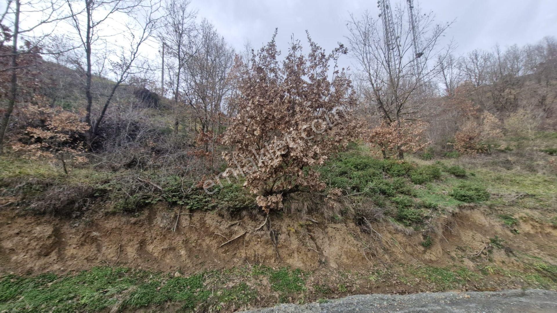 Yalova Altınova Örencik Köyü Satılık Tarla 2225 M2 - Görsel 9