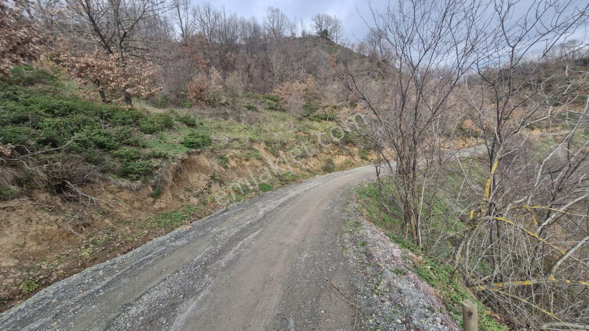 Yalova Altınova Örencik Köyü Satılık Tarla 2225 M2 - Görsel 6