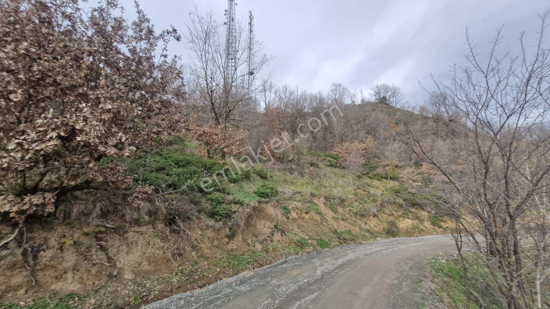 Yalova Altınova Örencik Köyü Satılık Tarla 2225 M2 - Görsel 7