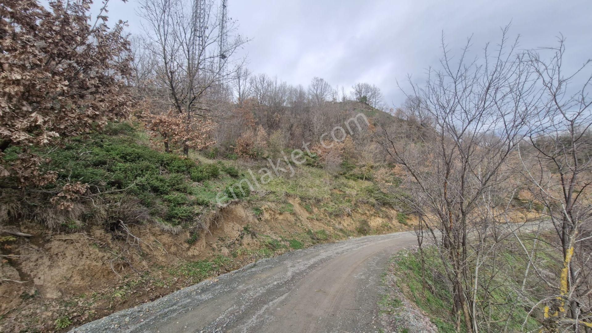 Yalova Altınova Örencik Köyü Satılık Tarla 2225 M2 - Görsel 2