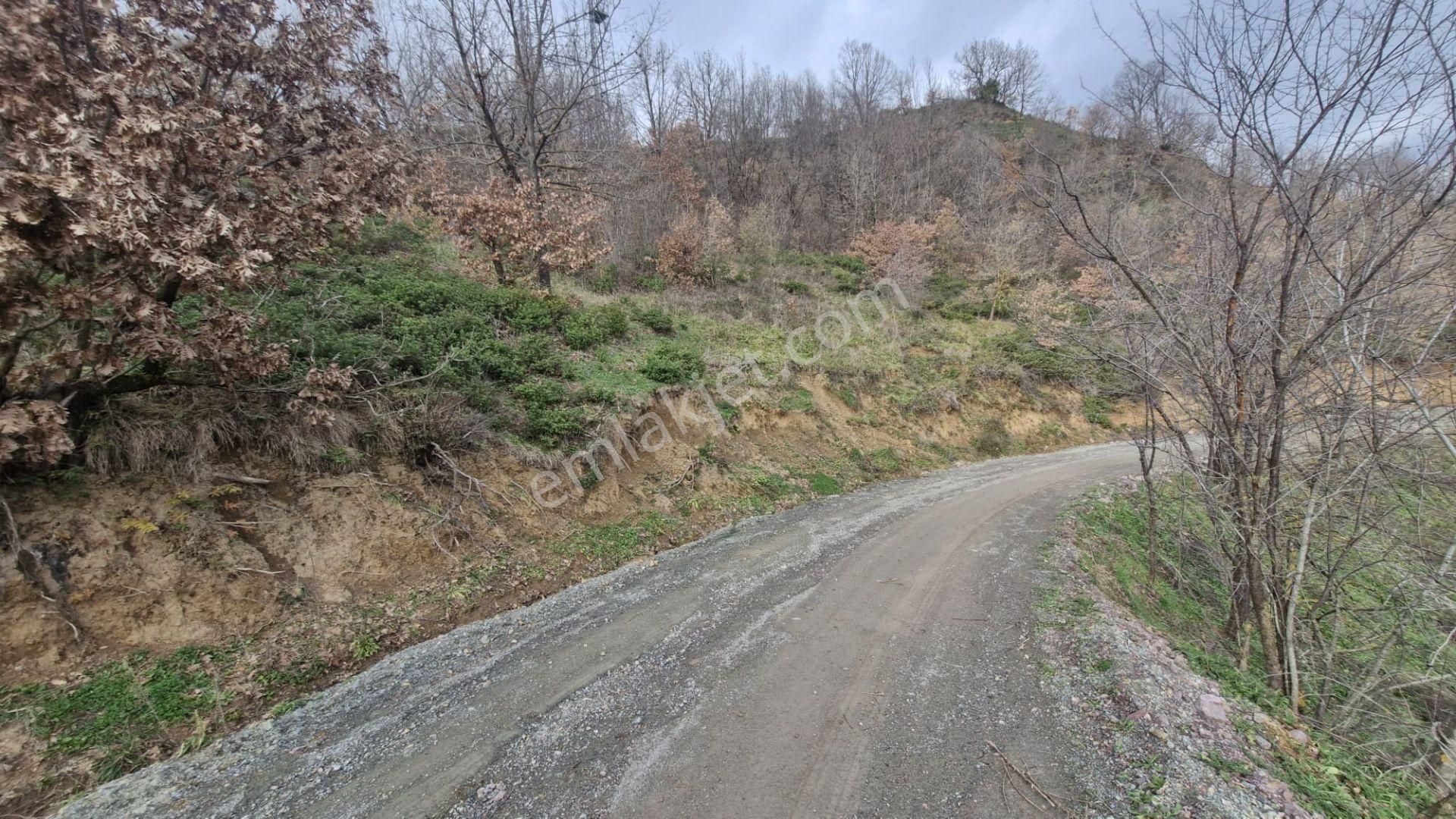 Yalova Altınova Örencik Köyü Satılık Tarla 2225 M2 - Görsel 4