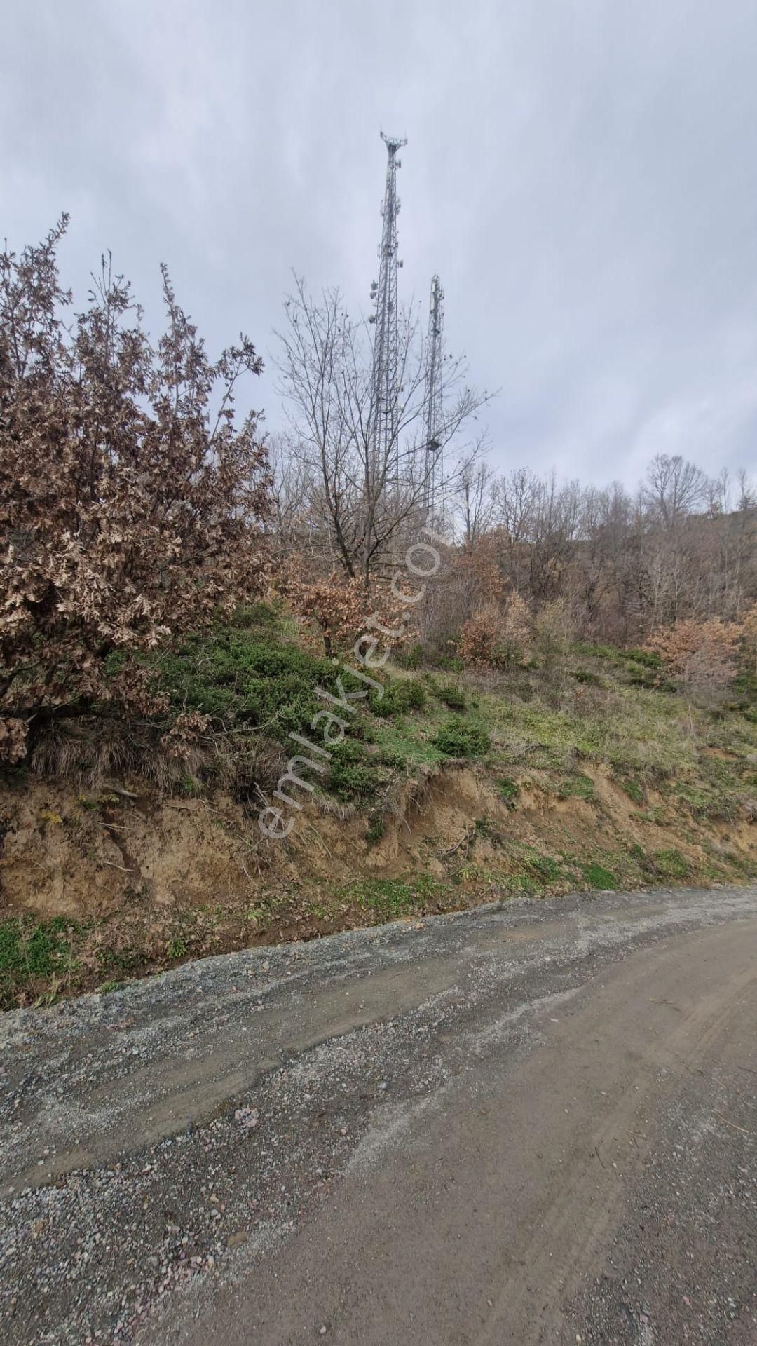 Yalova Altınova Örencik Köyü Satılık Tarla 2225 M2 - Görsel 3