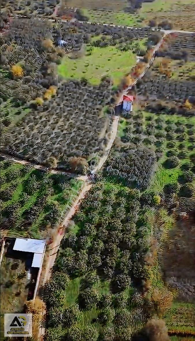 Yatırıma Uygun Satılık Tarla - Görsel 2