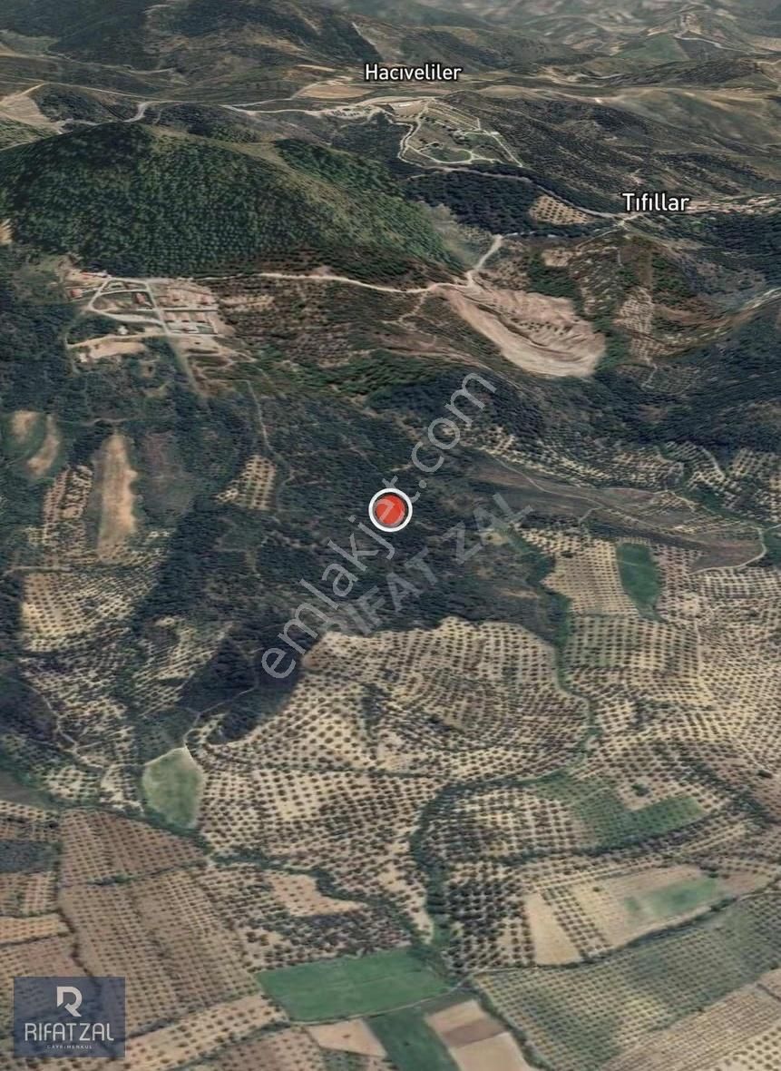 Ayvalık Tıfıllar Mahallesinde Satılık 499 M2 Arsa - Görsel 7