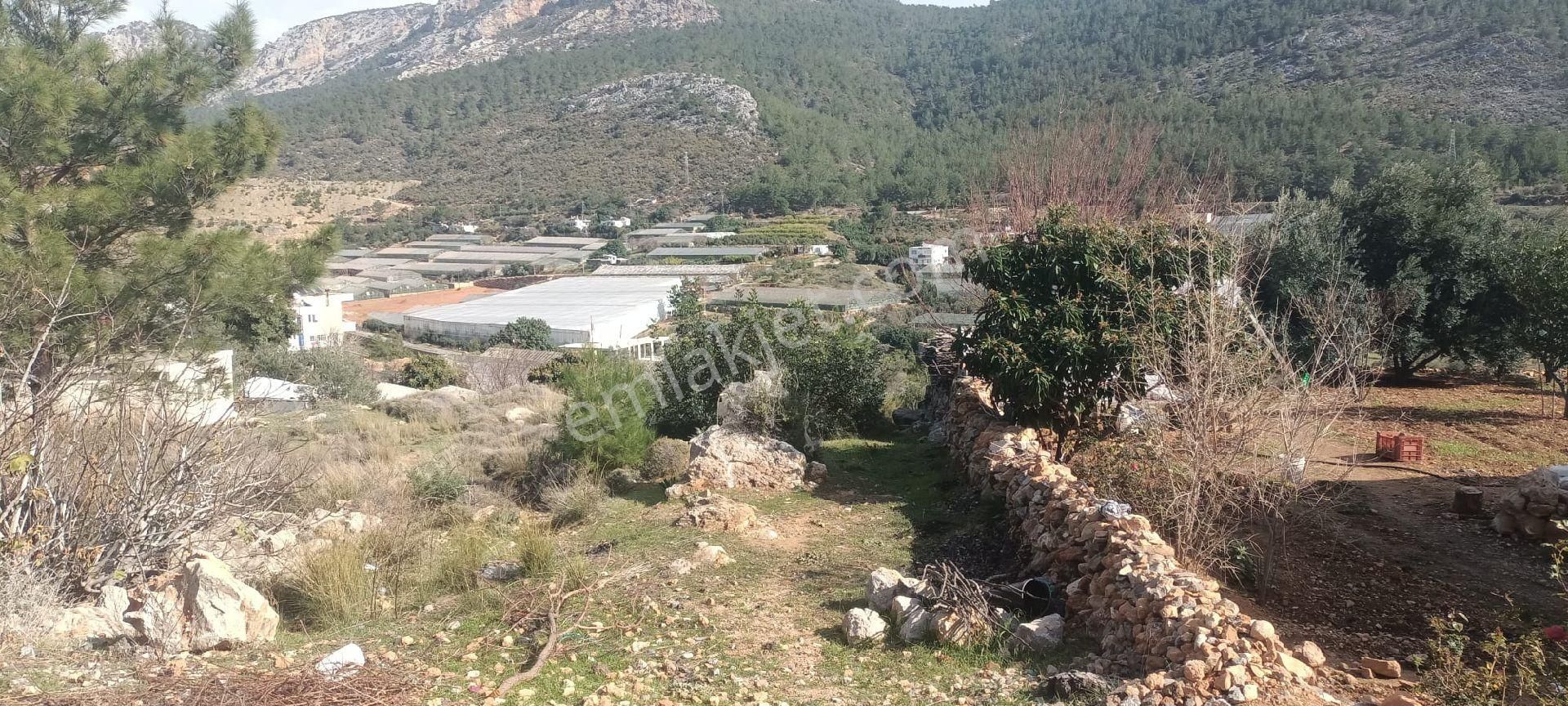 Aydıncık Emlaktan Satılık Tarla 900 - Görsel 2