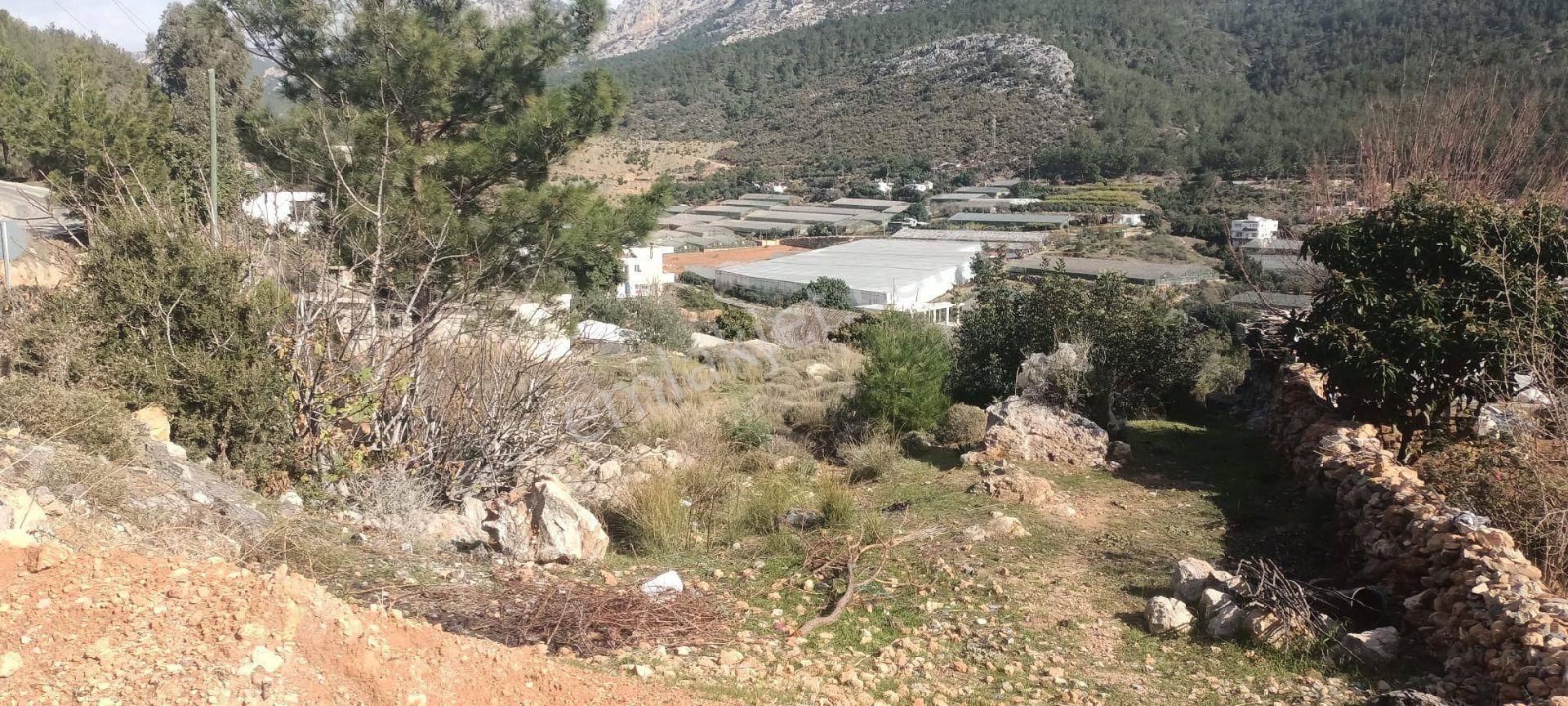 Aydıncık Emlaktan Satılık Tarla 900 - Görsel 6