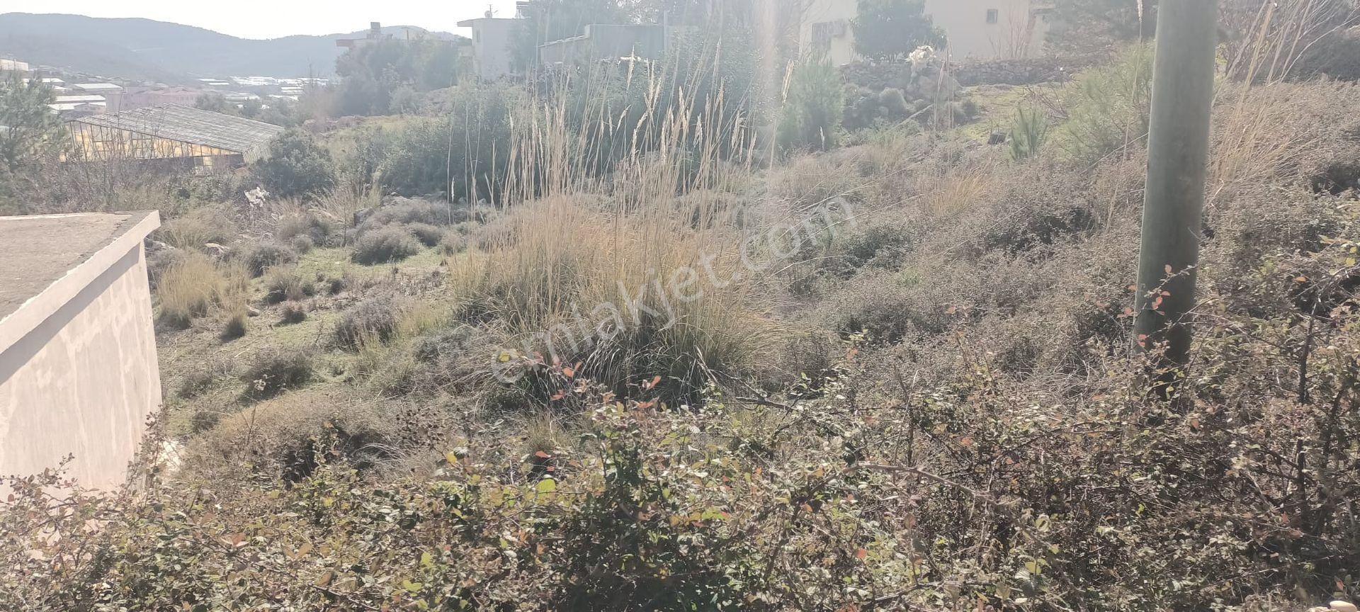 Aydıncık Emlaktan Satılık Tarla 900 - Görsel 11