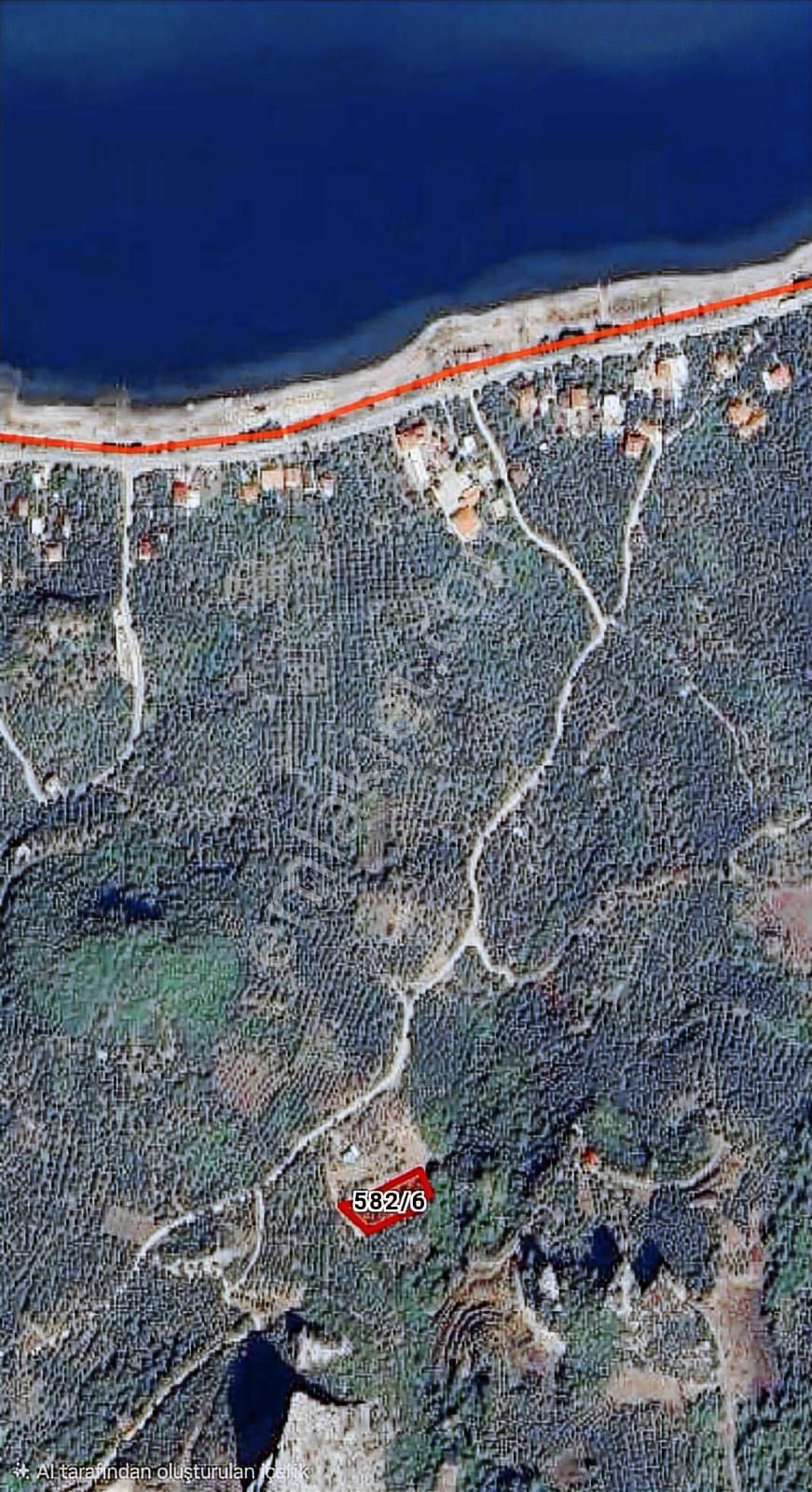 İznik Göllücede Fırsat! Göl Manzaralı Zeytinlik.. - Görsel 2
