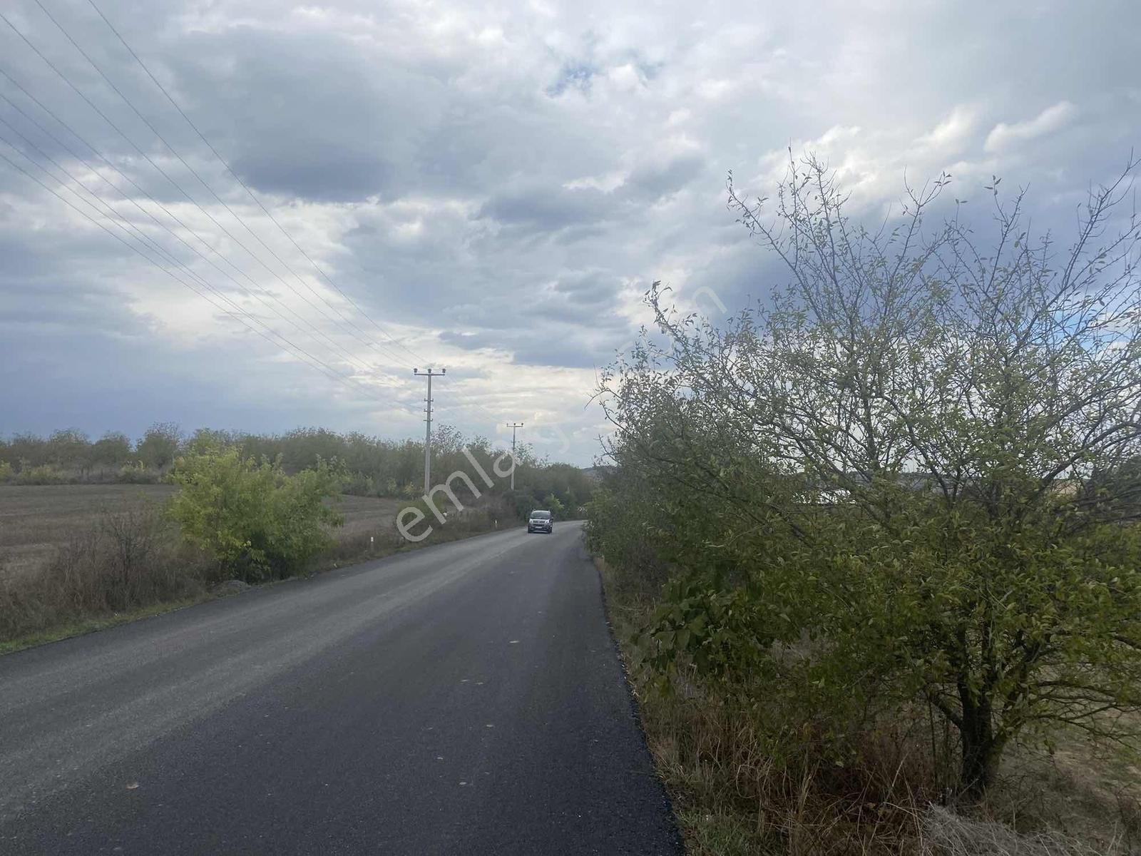 Adapazarı Salmanlı Merkezde 6074 M2 Yola Bir Parsel Harika Tarla - Görsel 9