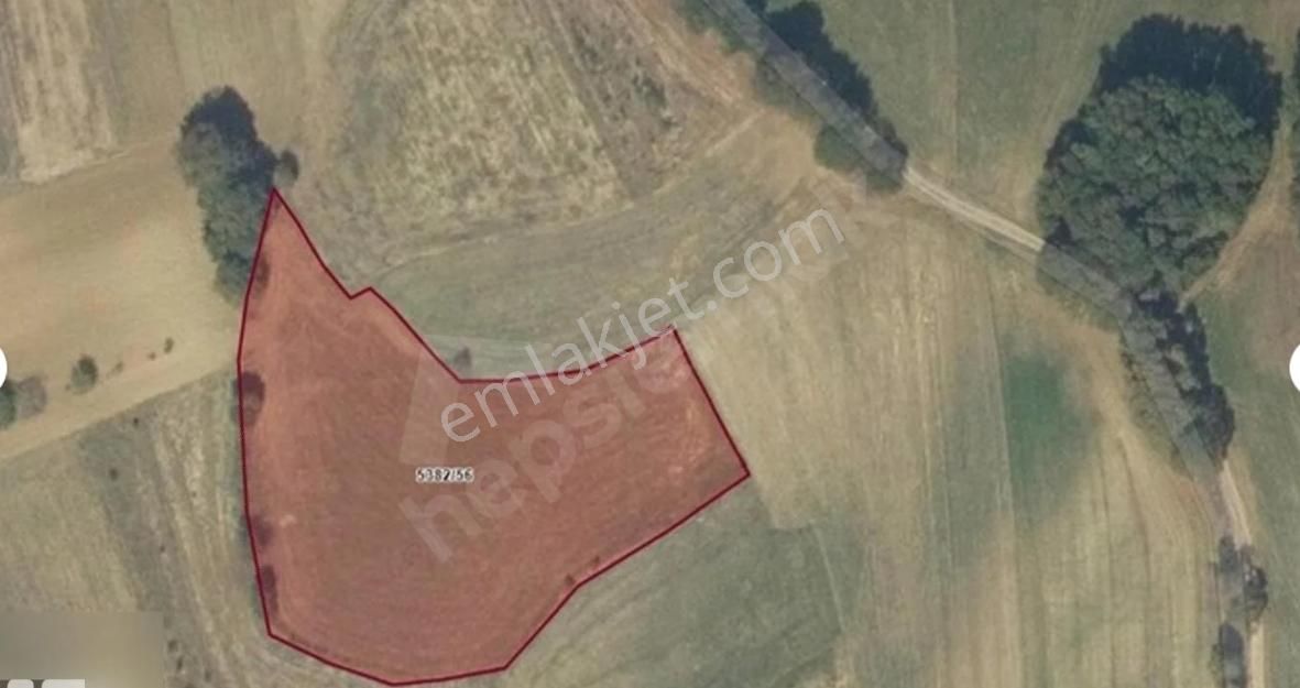 Adapazarı Salmanlı Merkezde 6074 M2 Yola Bir Parsel Harika Tarla - Görsel 11