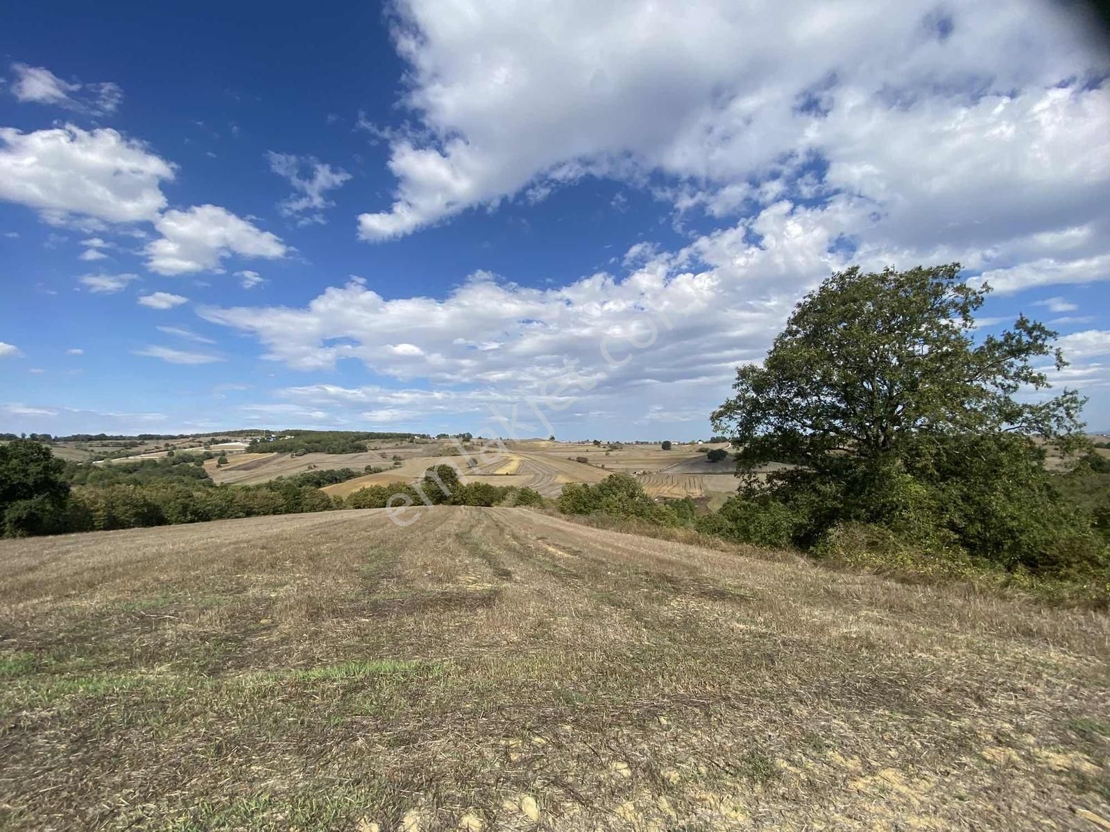 Adapazarı Salmanlı Merkezde 6074 M2 Yola Bir Parsel Harika Tarla - Görsel 5