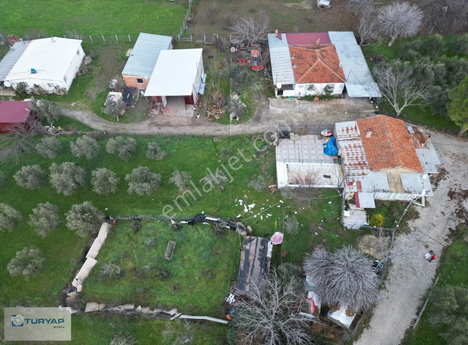 Bergama Zeytindağ Bozyerlerde Satılık Tarla - Görsel 8