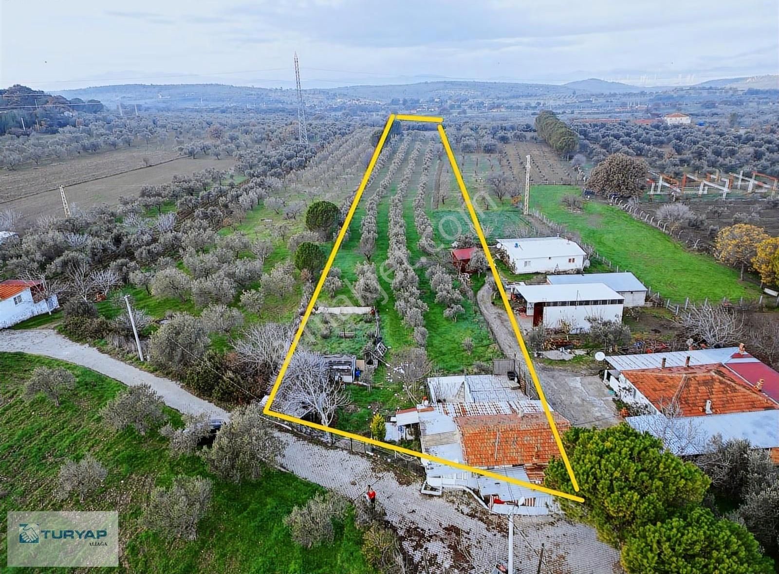 Bergama Zeytindağ Bozyerlerde Satılık Tarla - Görsel 9