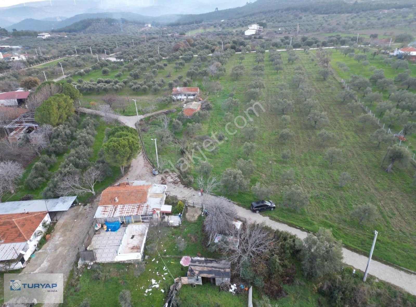 Bergama Zeytindağ Bozyerlerde Satılık Tarla - Görsel 2