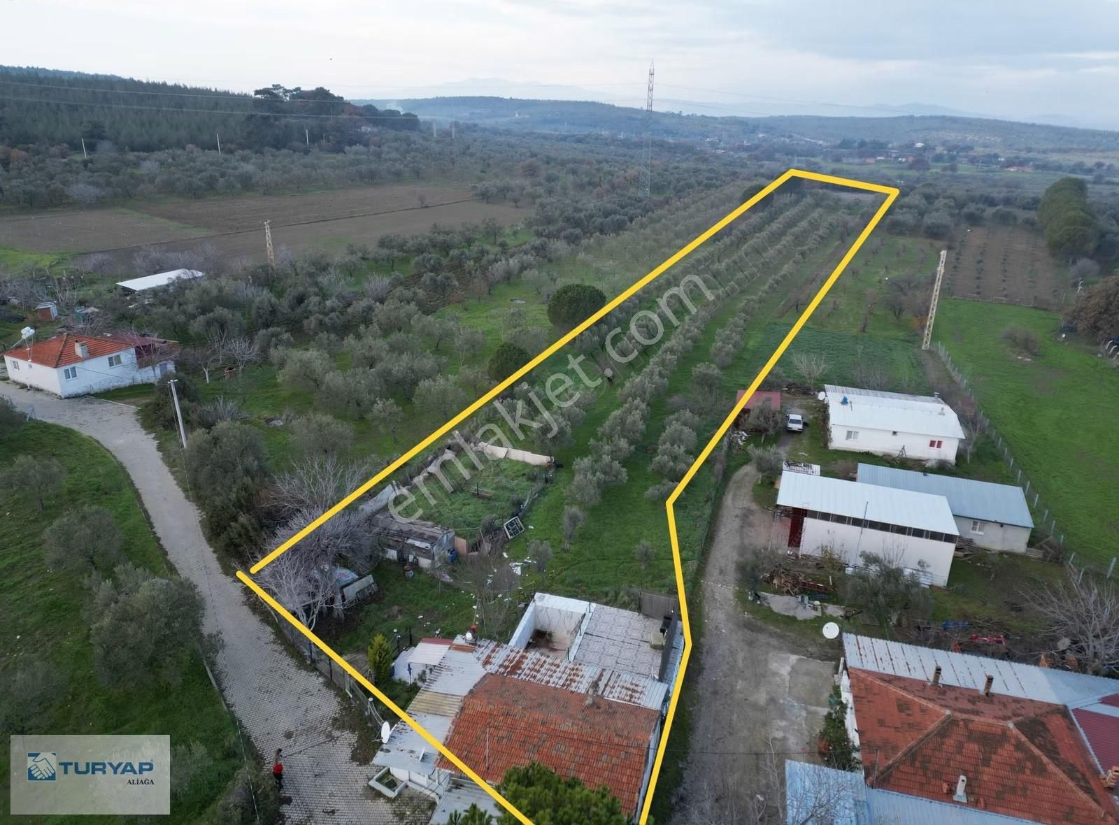 Bergama Zeytindağ Bozyerlerde Satılık Tarla - Görsel 6