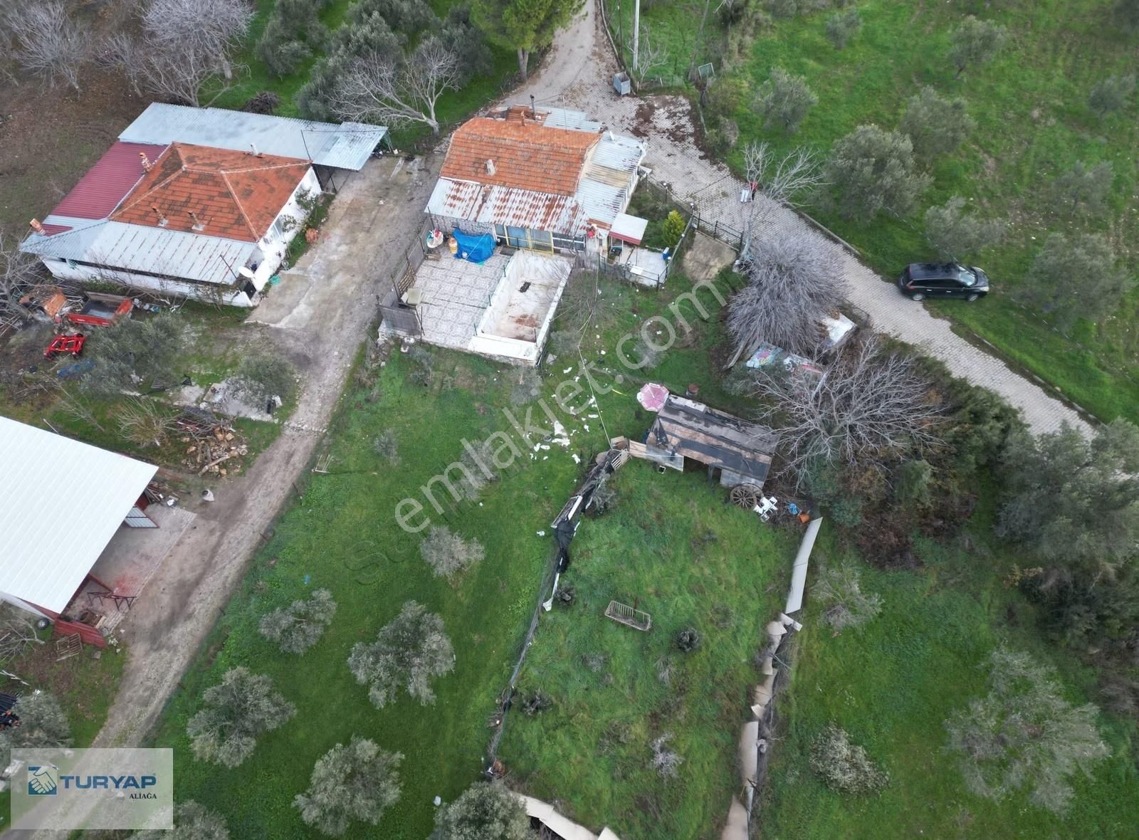 Bergama Zeytindağ Bozyerlerde Satılık Tarla - Görsel 5