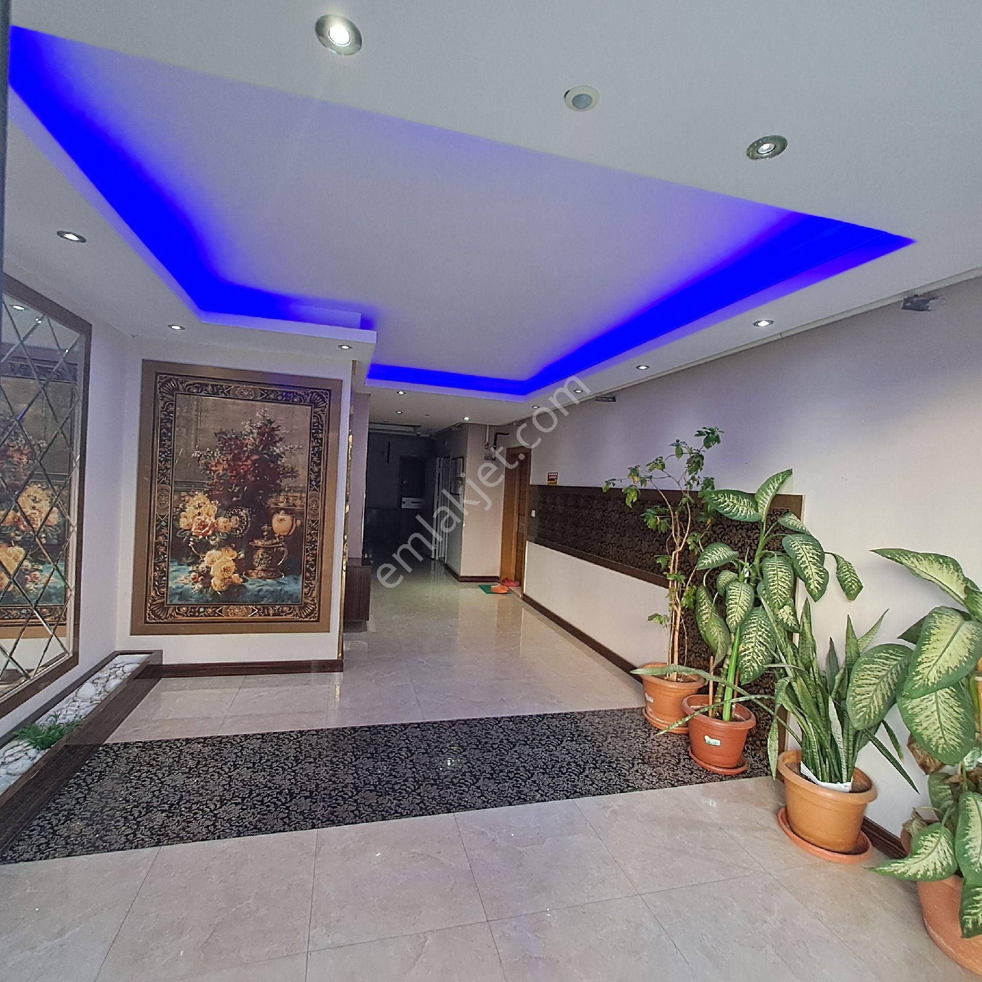 Asya' Dan Yenişehirde Geniş Oturumlu Doğalgazlı - Görsel 3