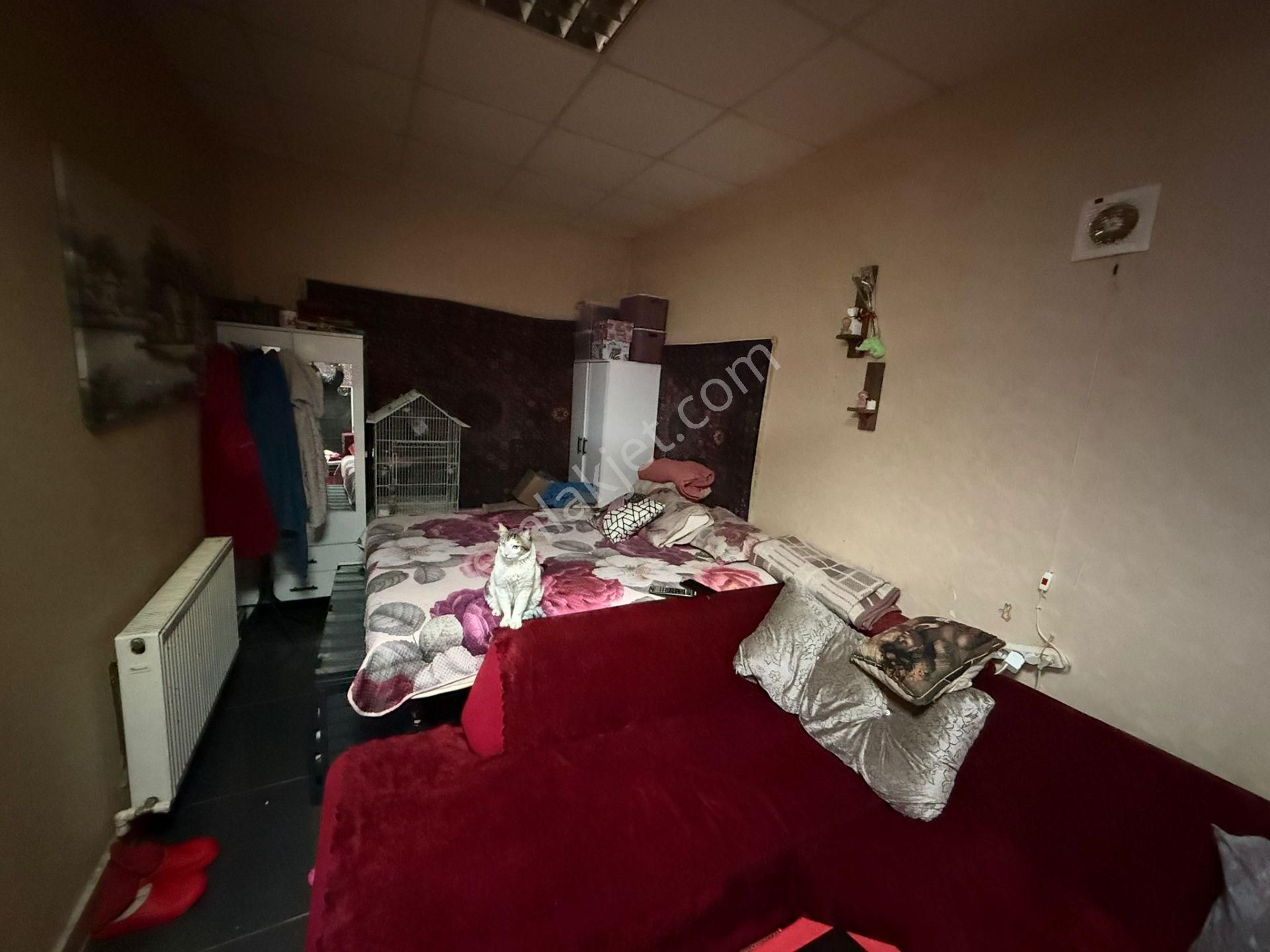 Vatan'da Aktepe'de Son Durakta İşlek Cadde Üzeri Kurulu Düzen Cirosu Yüksek Tekel - Görsel 9