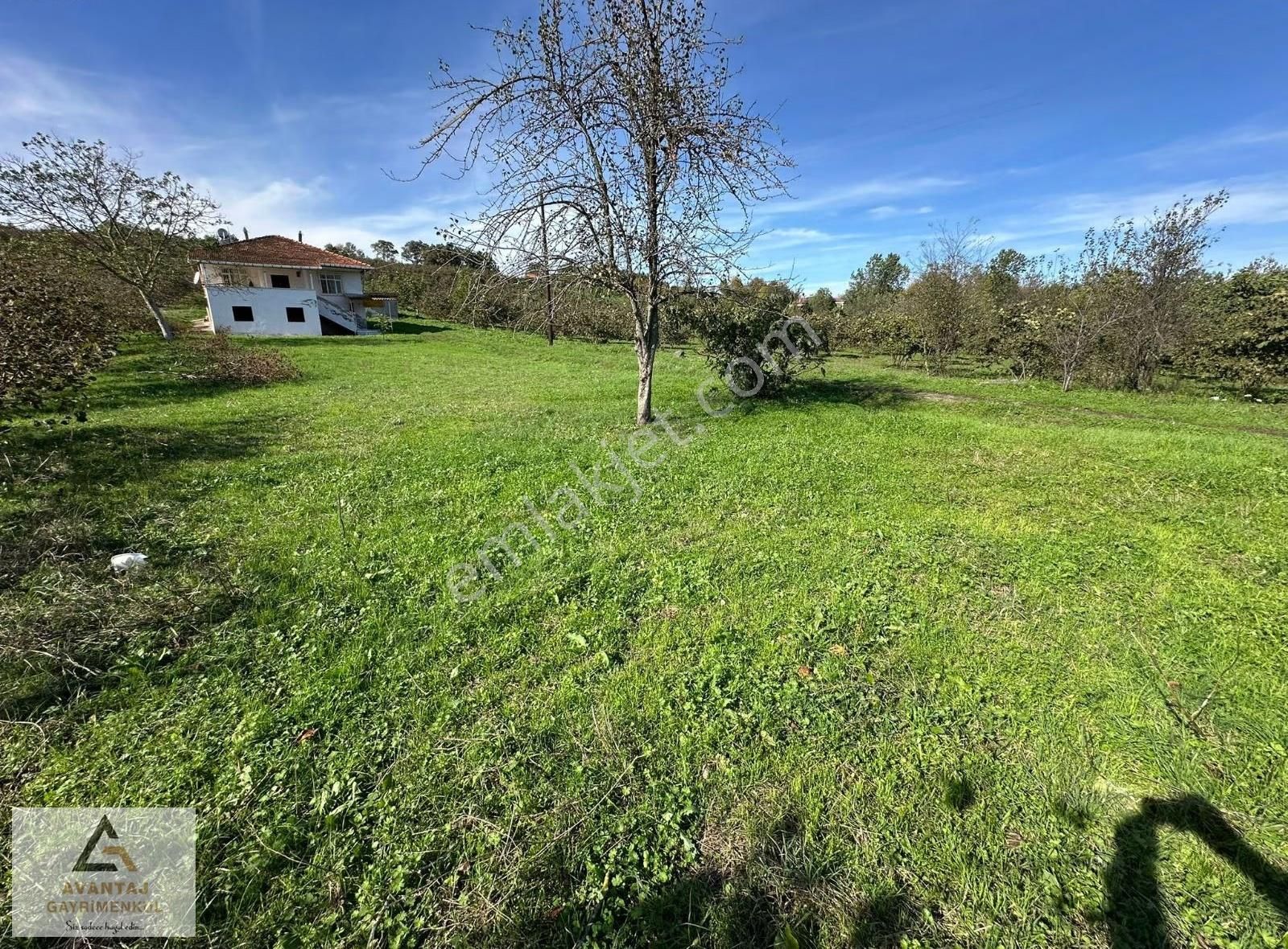 Avantaj Gayrimenkul'den Tekkeköy'de Satılık Arsa - Görsel 7