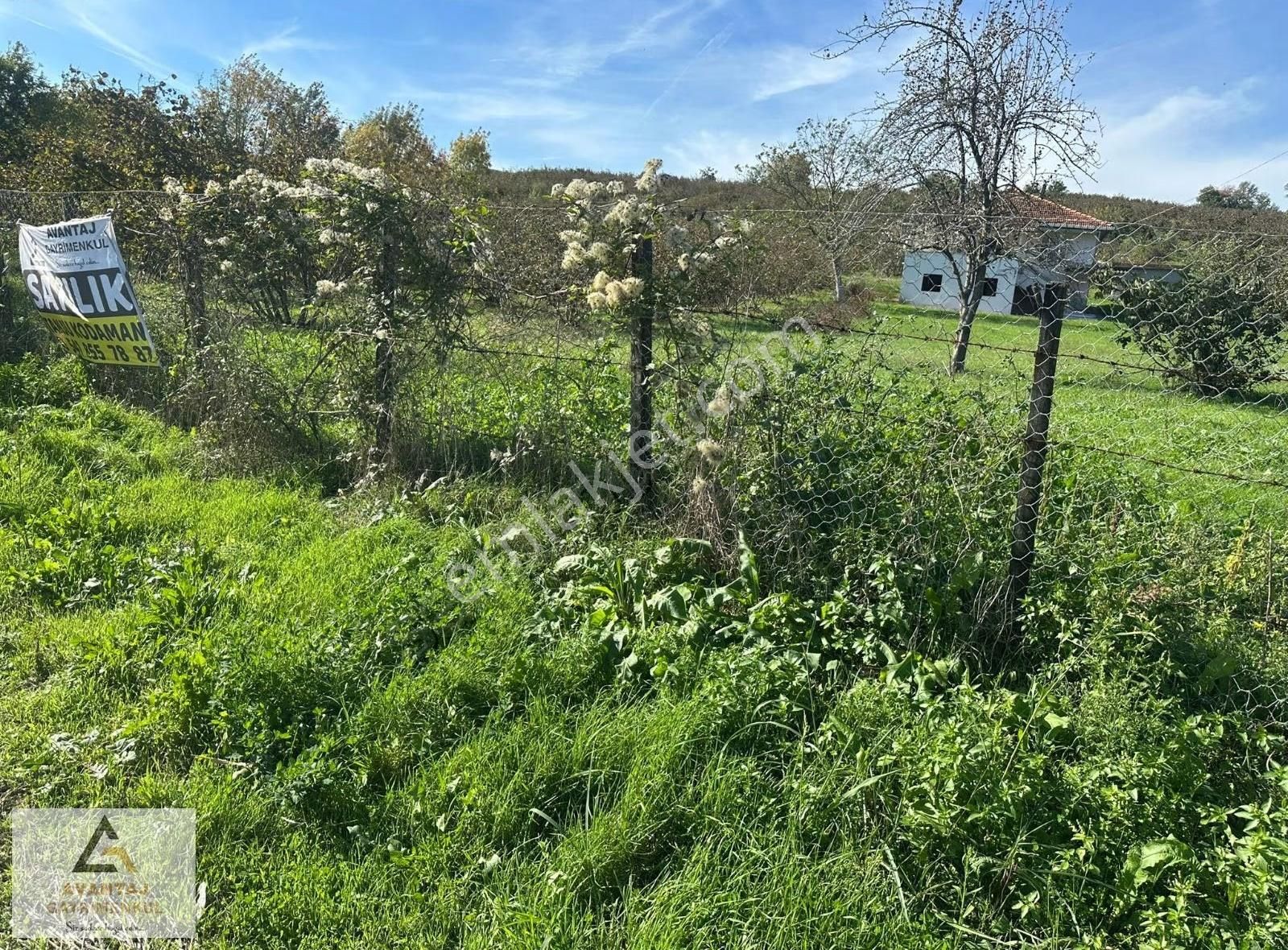 Avantaj Gayrimenkul'den Tekkeköy'de Satılık Arsa - Görsel 6