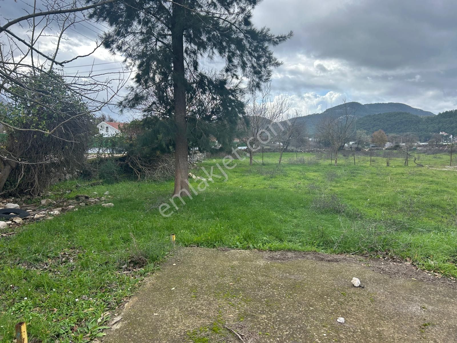 Üç Dönüm İçinde Yatırımlık Tam Müstakil Ev - Görsel 3