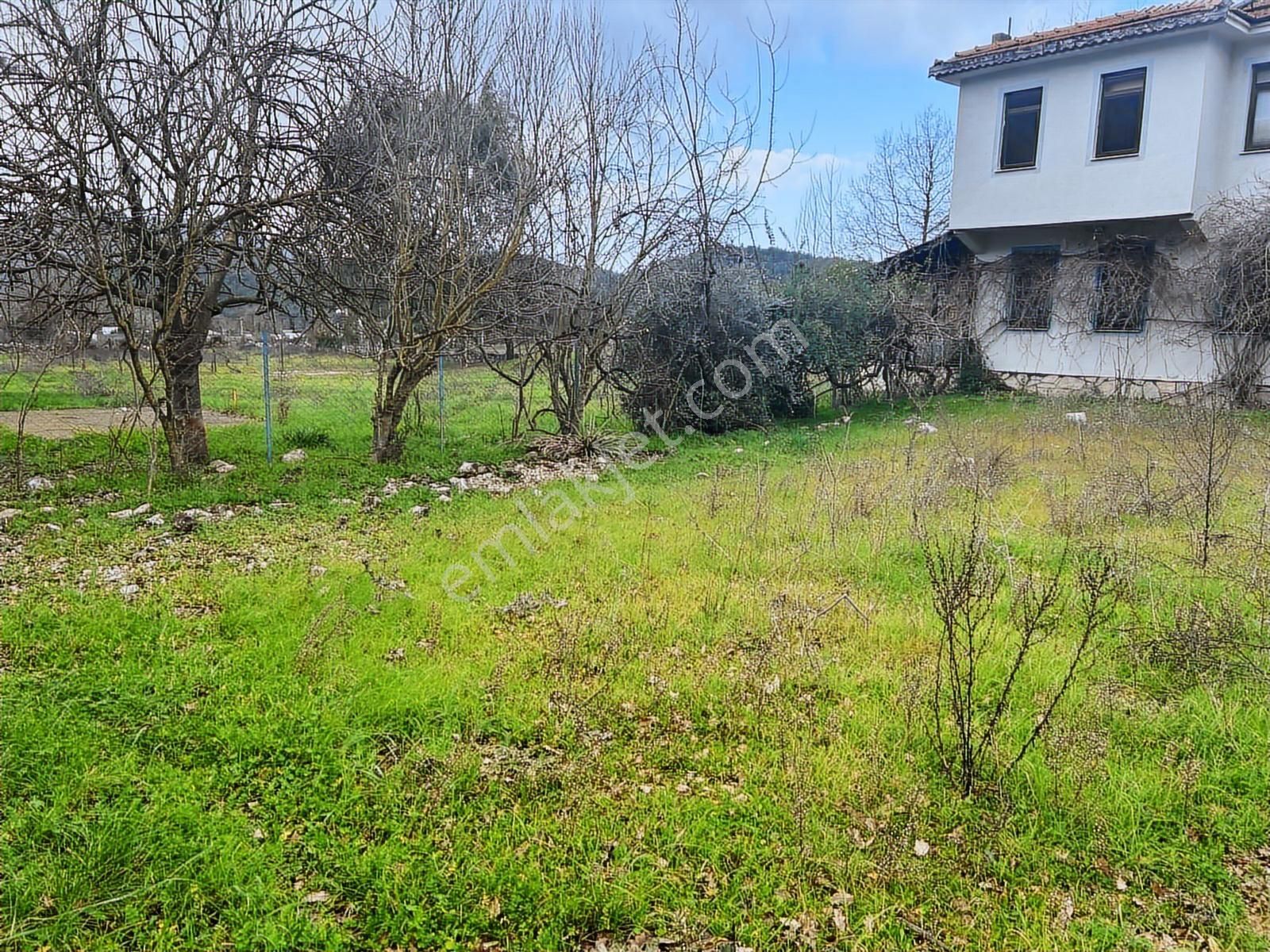 Üç Dönüm İçinde Yatırımlık Tam Müstakil Ev - Görsel 9