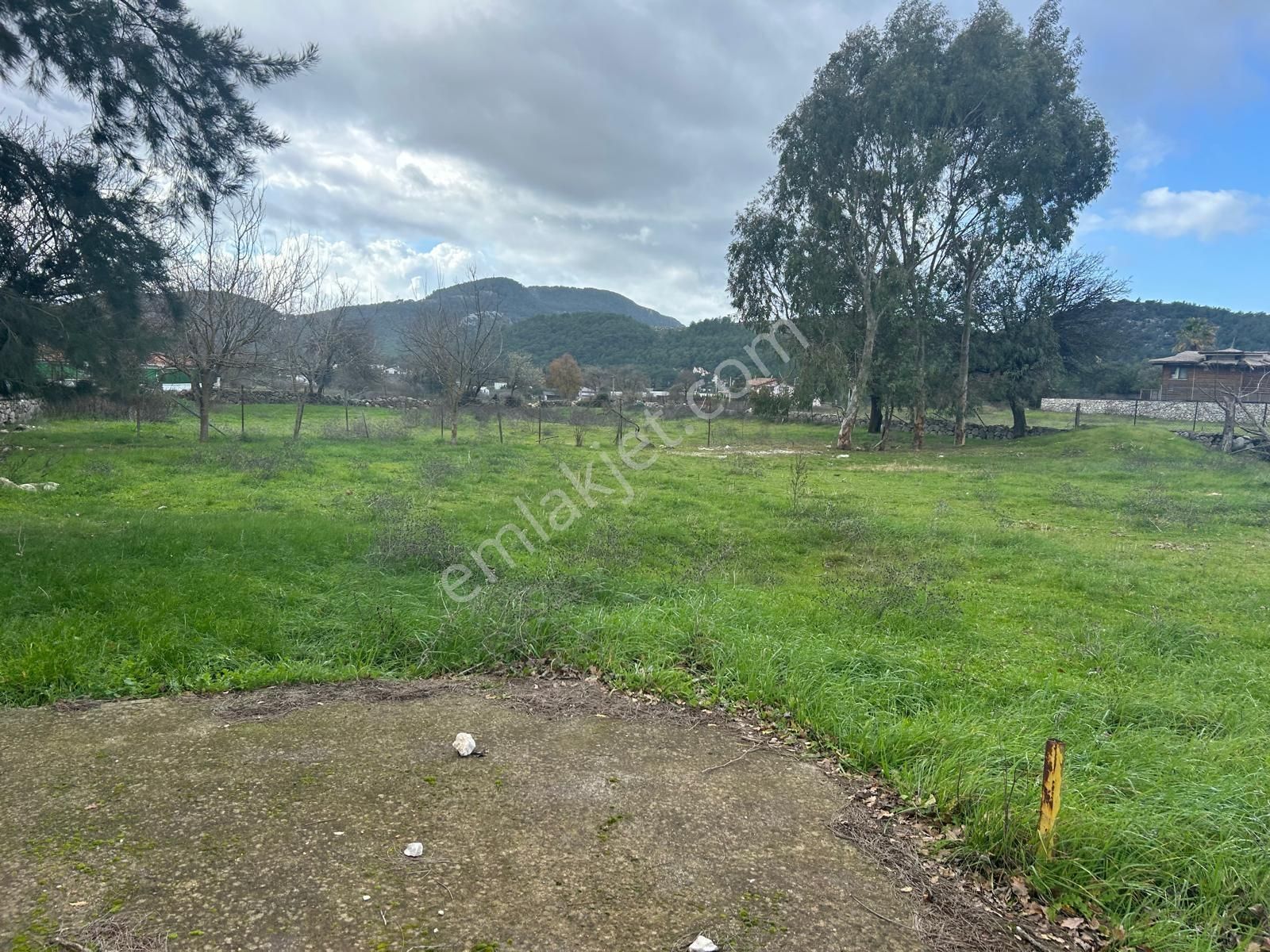 Üç Dönüm İçinde Yatırımlık Tam Müstakil Ev - Görsel 4