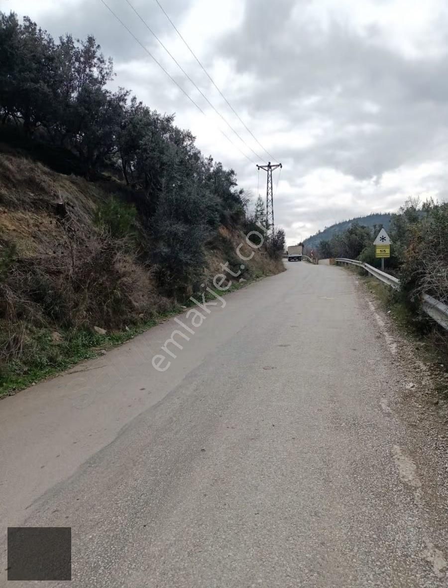 Bursa Kestel Narlıdere'de Satılık Zeytinlik - Görsel 10