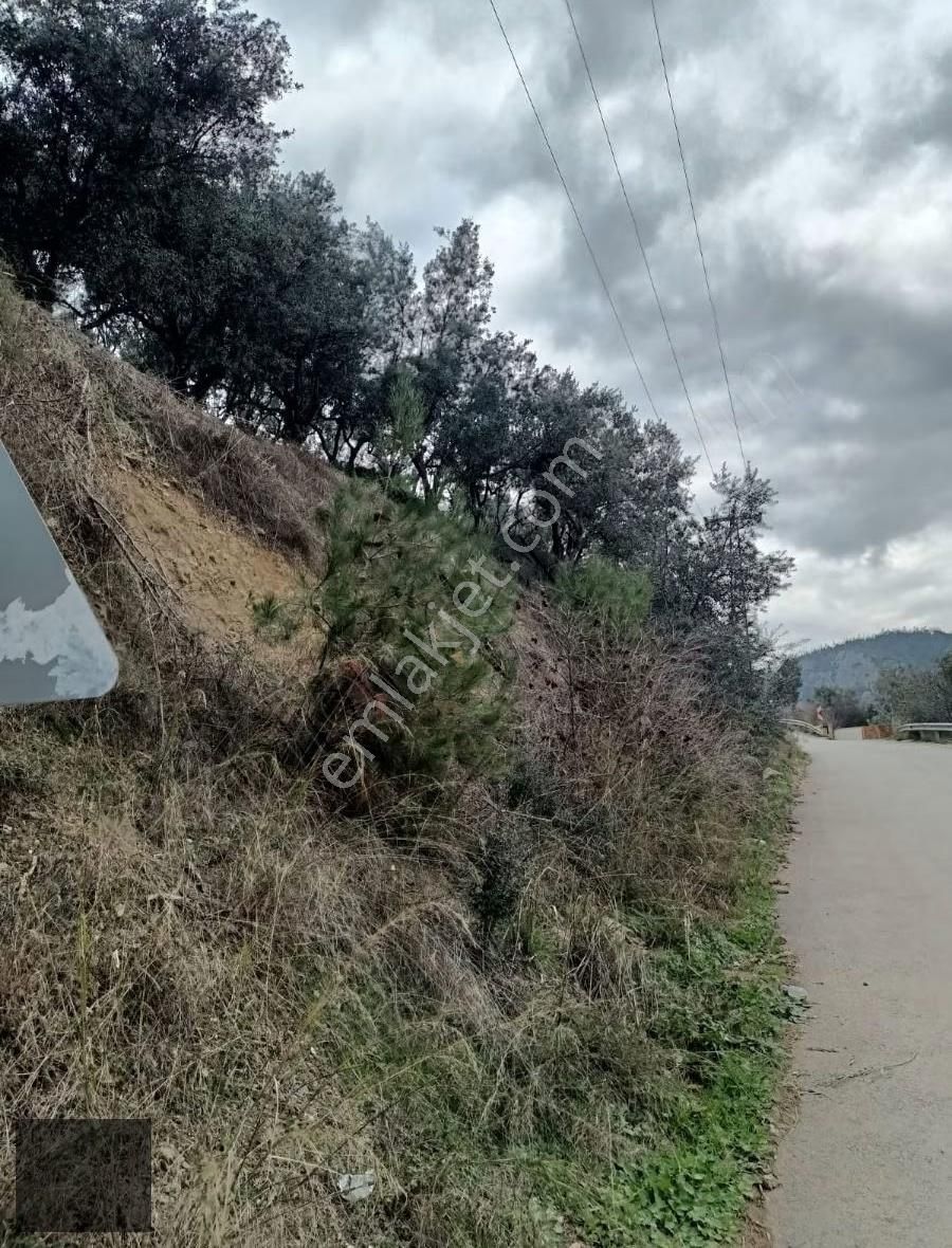 Bursa Kestel Narlıdere'de Satılık Zeytinlik - Görsel 4