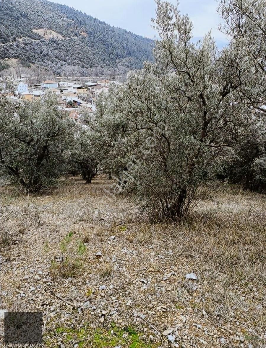 Bursa Mudanya'da Deniz Ve Doğa Manzaralıkiralık Tribleks Villa.. - Görsel 14
