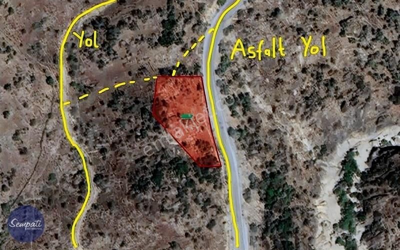 Asfalta Sıfır Milas'a 7km Manzaralı Satılık Zeytinlik 1.476m2 - Görsel 5
