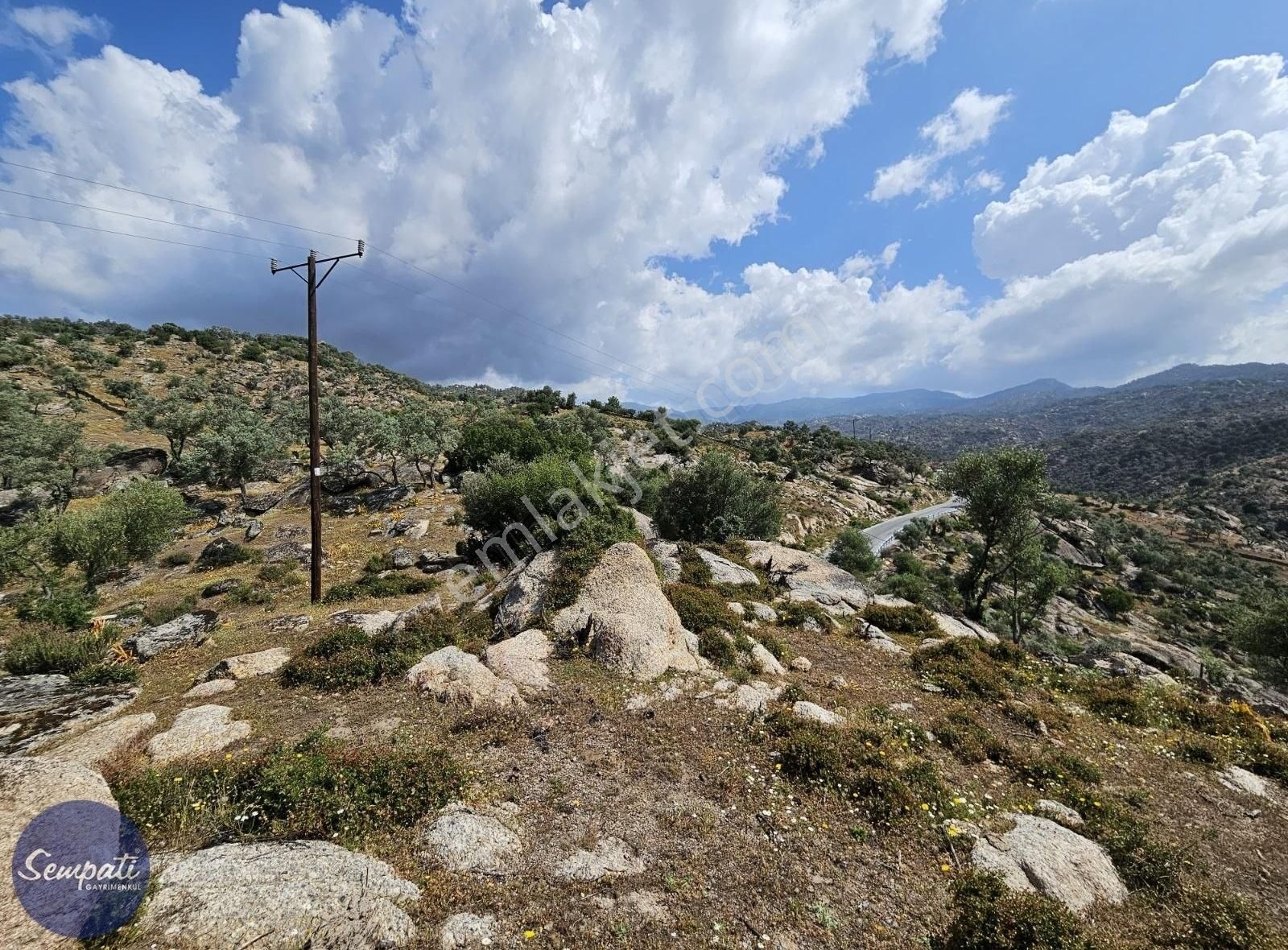 Asfalta Sıfır Milas'a 7km Manzaralı Satılık Zeytinlik 1.476m2 - Görsel 9