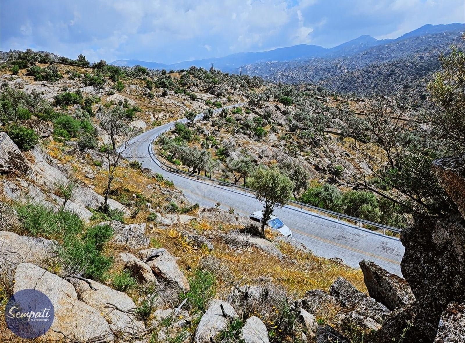Asfalta Sıfır Milas'a 7km Manzaralı Satılık Zeytinlik 1.476m2 - Görsel 6