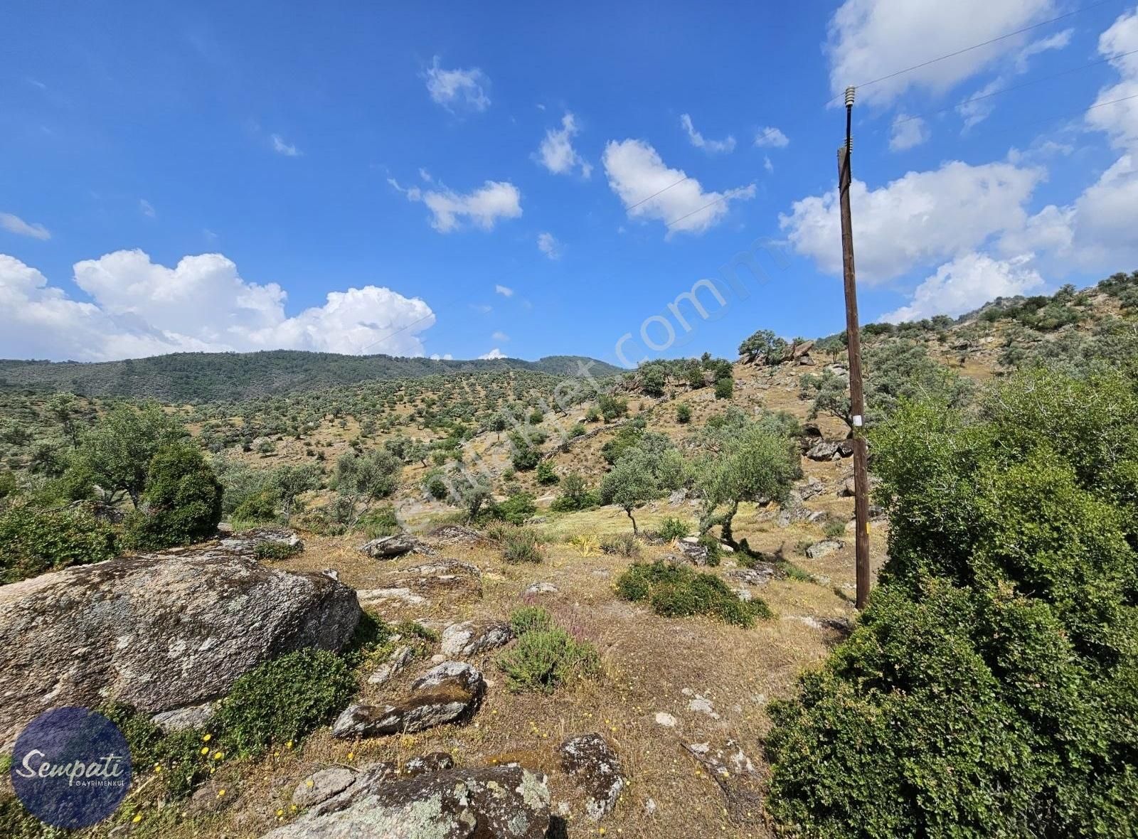 Asfalta Sıfır Milas'a 7km Manzaralı Satılık Zeytinlik 1.476m2