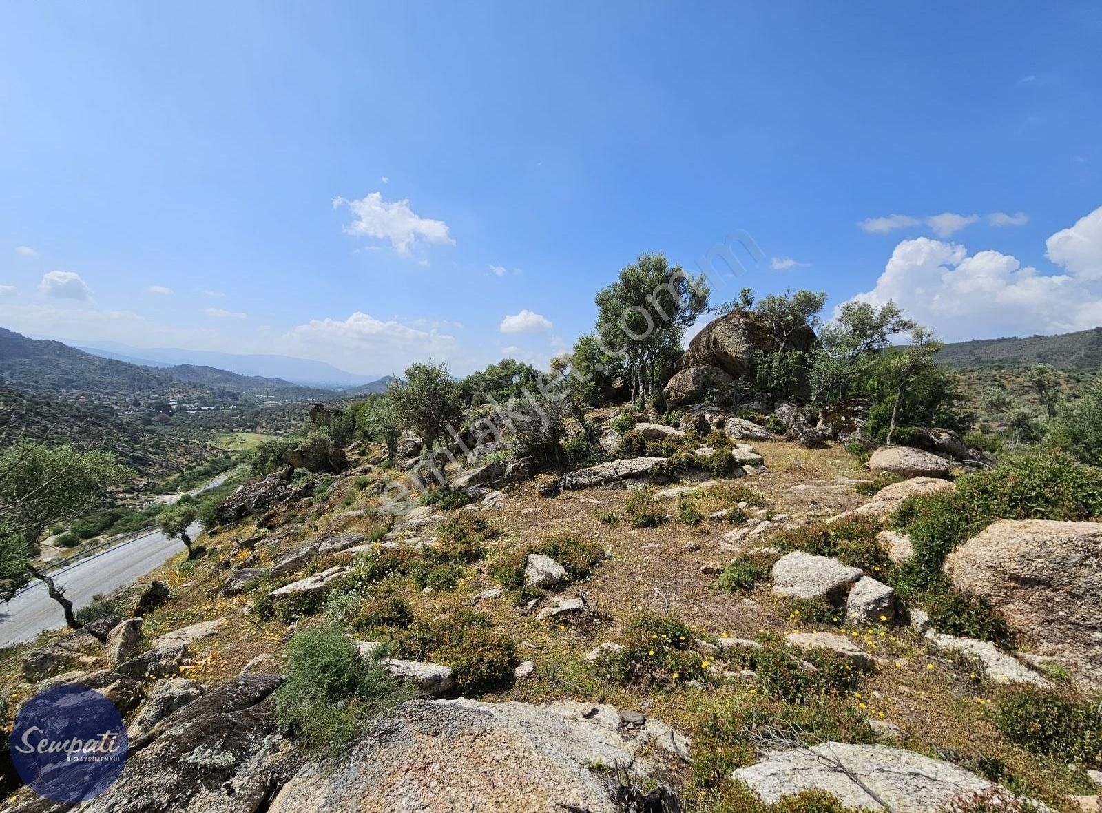 Asfalta Sıfır Milas'a 7km Manzaralı Satılık Zeytinlik 1.476m2 - Görsel 11