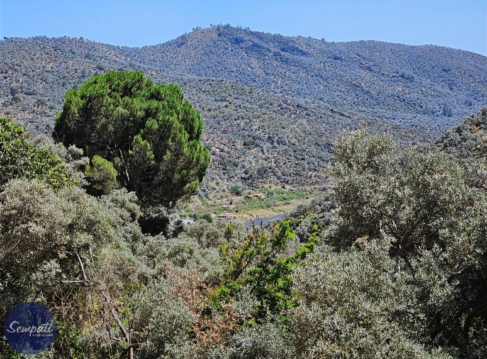 Köycivarı Zeytinlik Asfalta 2. Parsel 252 M2 - Görsel 8