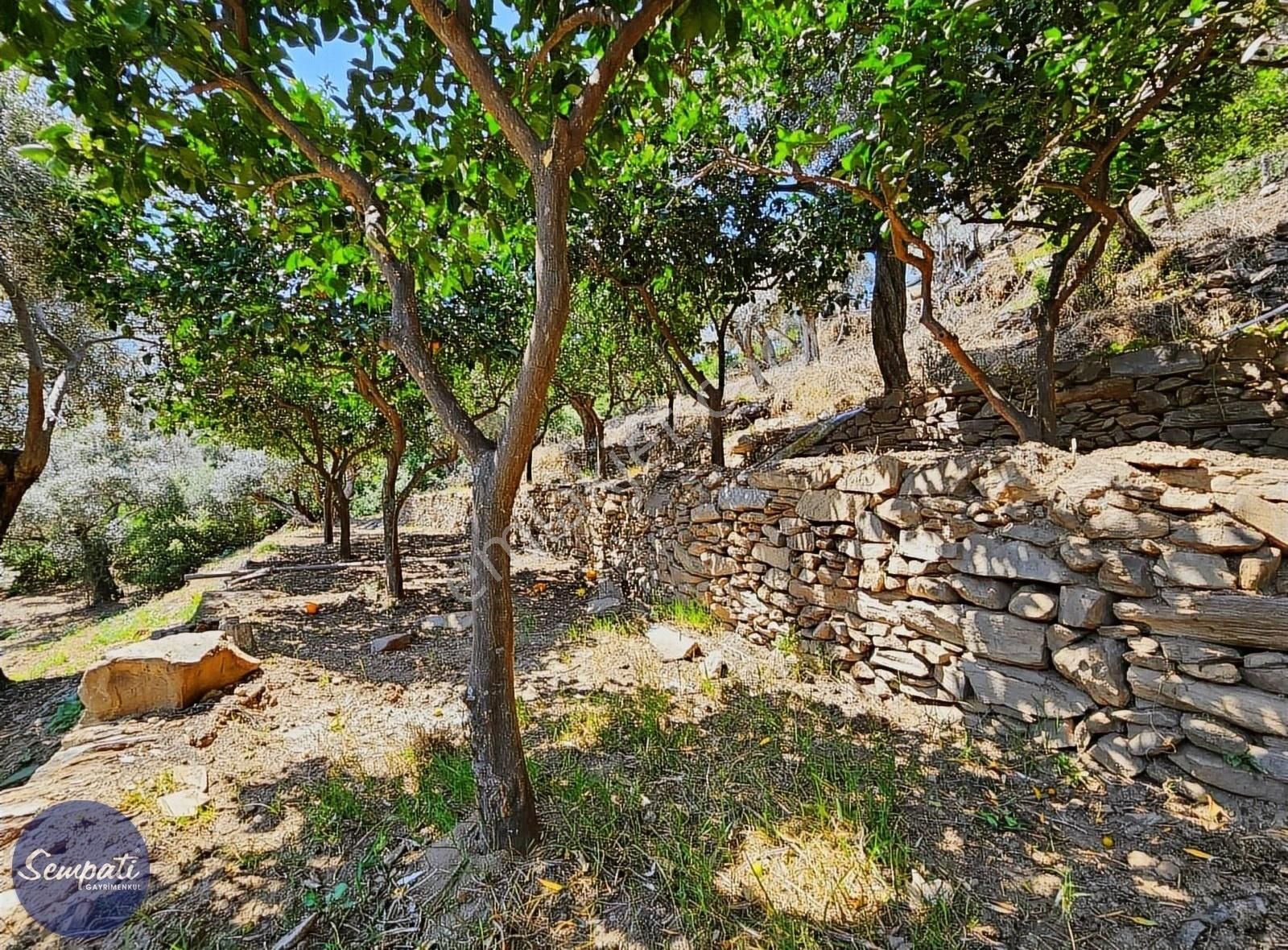 Köycivarı Zeytinlik Asfalta 2. Parsel 252 M2 - Görsel 4