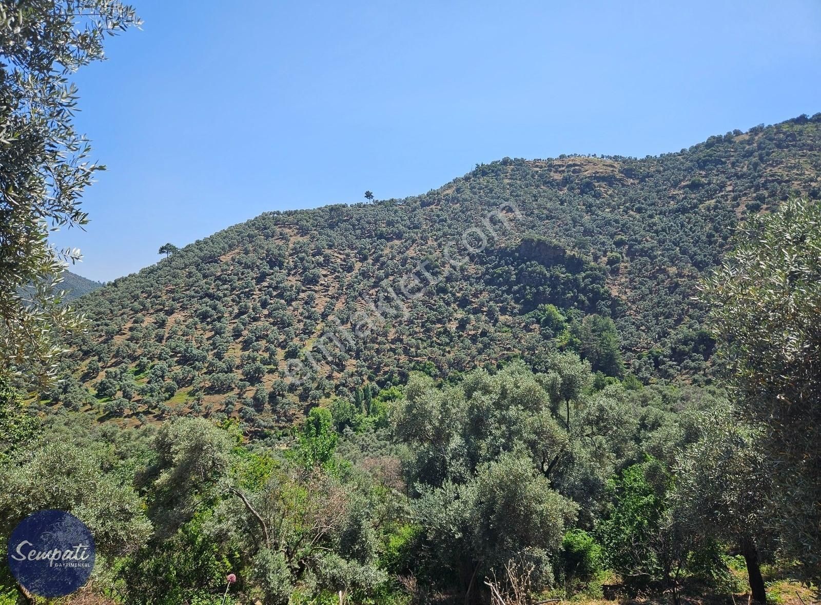 Köycivarı Zeytinlik Asfalta 2. Parsel 252 M2 - Görsel 5