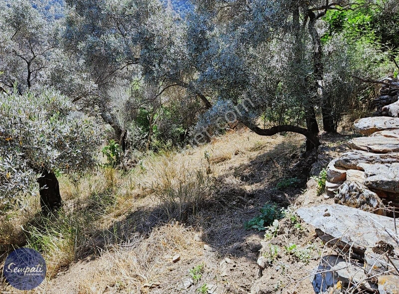 Köycivarı Zeytinlik Asfalta 2. Parsel 252 M2 - Görsel 11